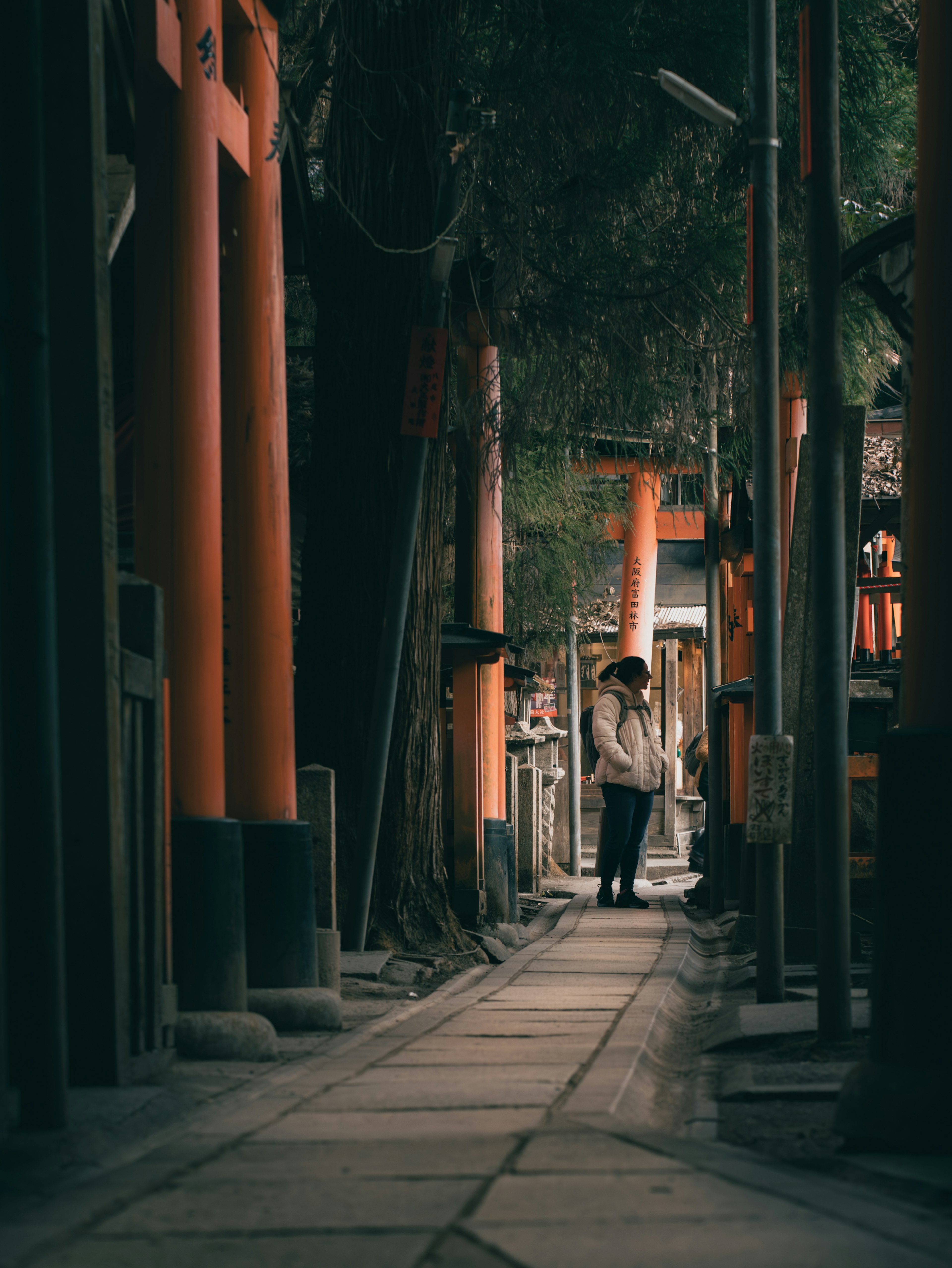 A person standing on a narrow path lined with orange torii gates