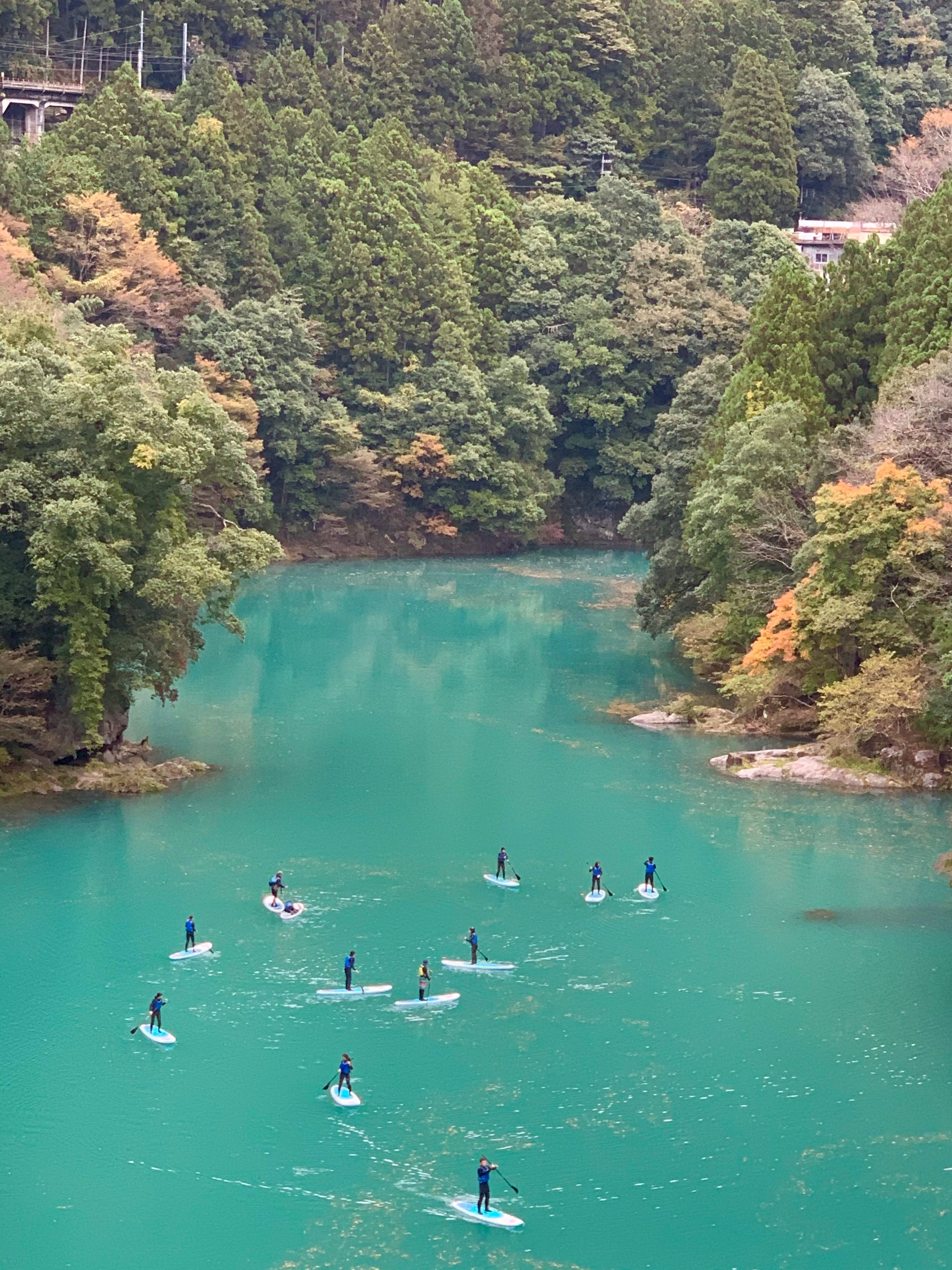 Groupe de paddleboarders sur un lac turquoise entouré d'arbres verts