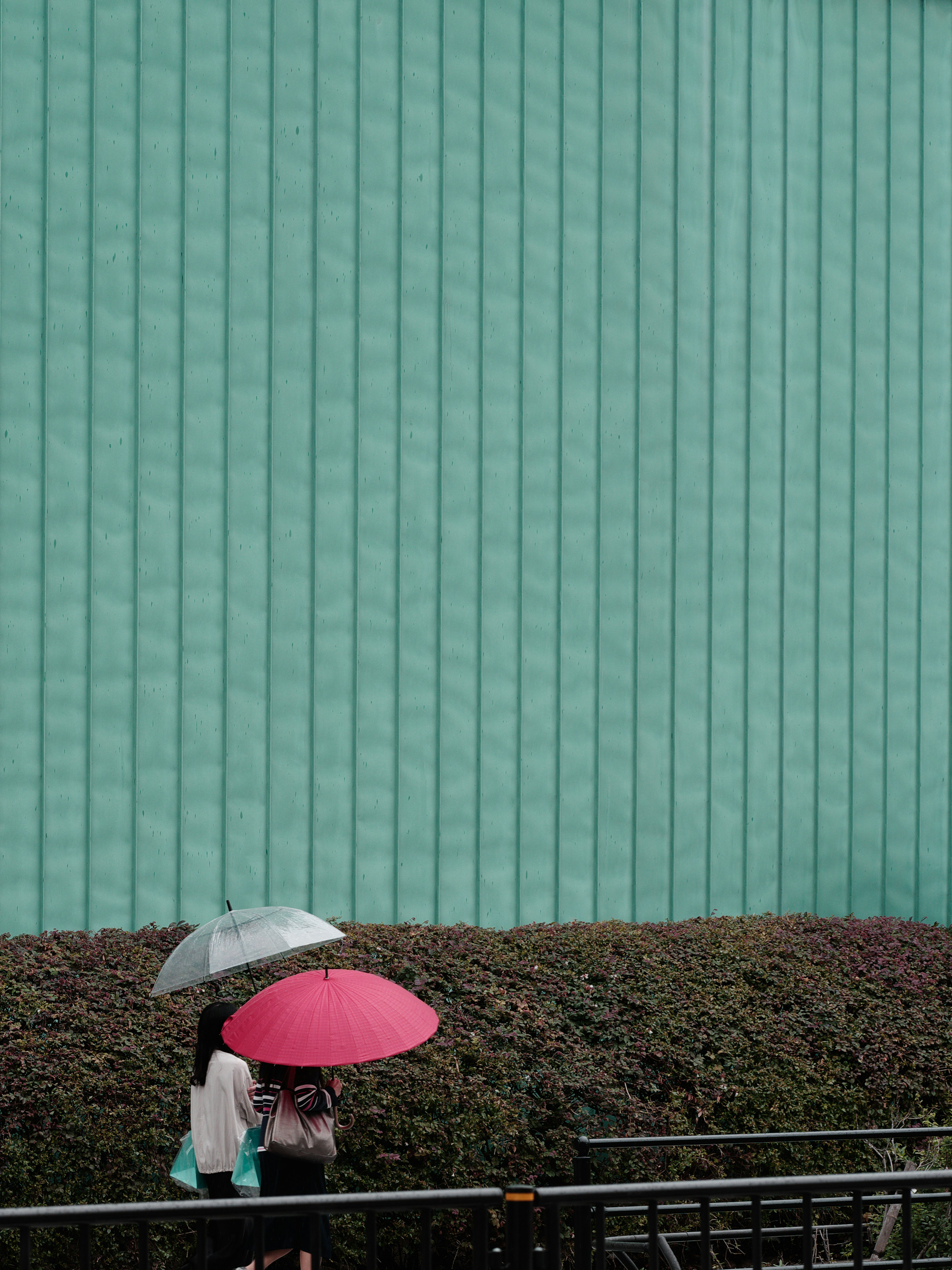 Deux personnes tenant des parapluies devant un mur vert