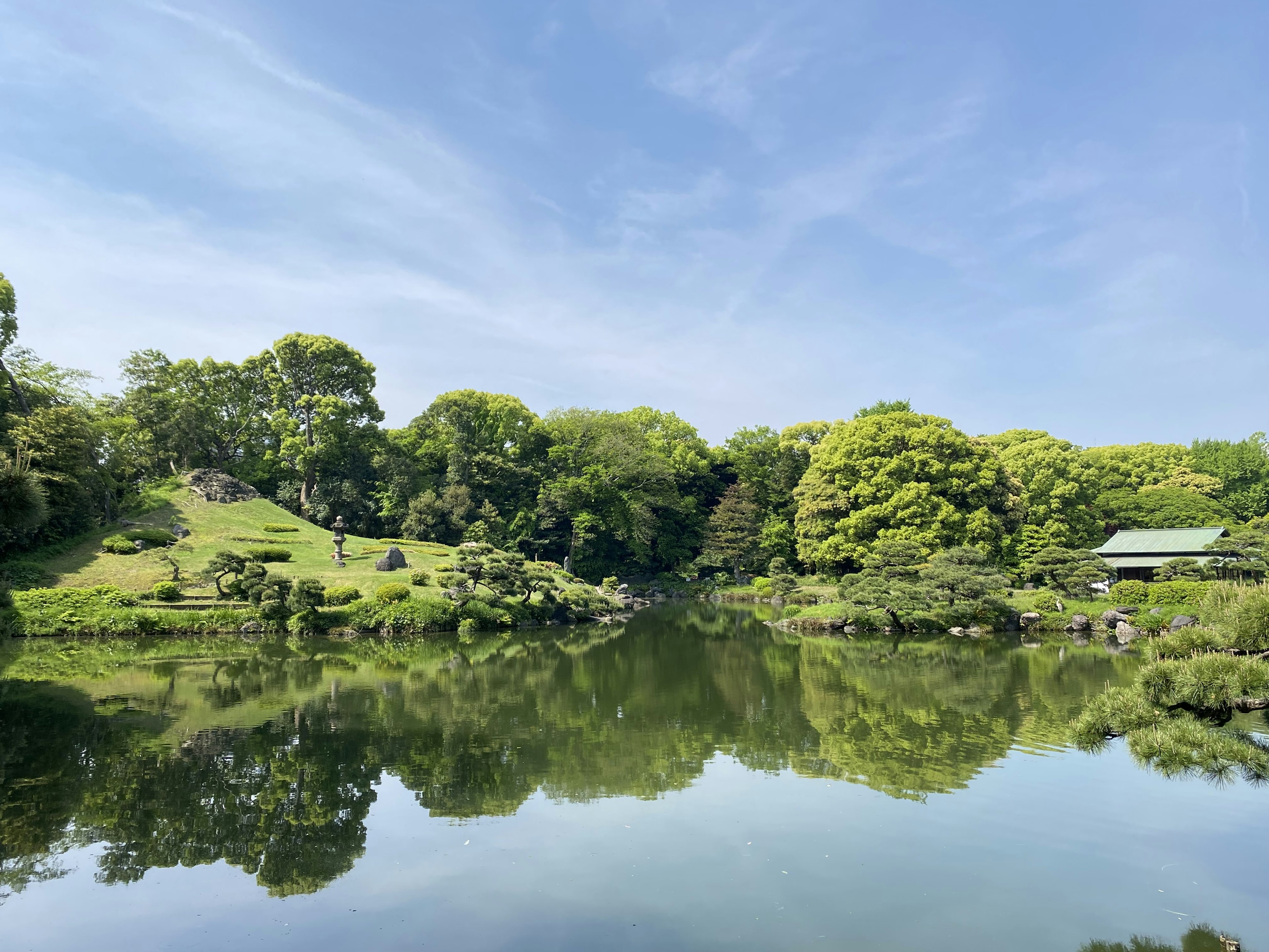 A serene pond reflecting blue sky and lush greenery