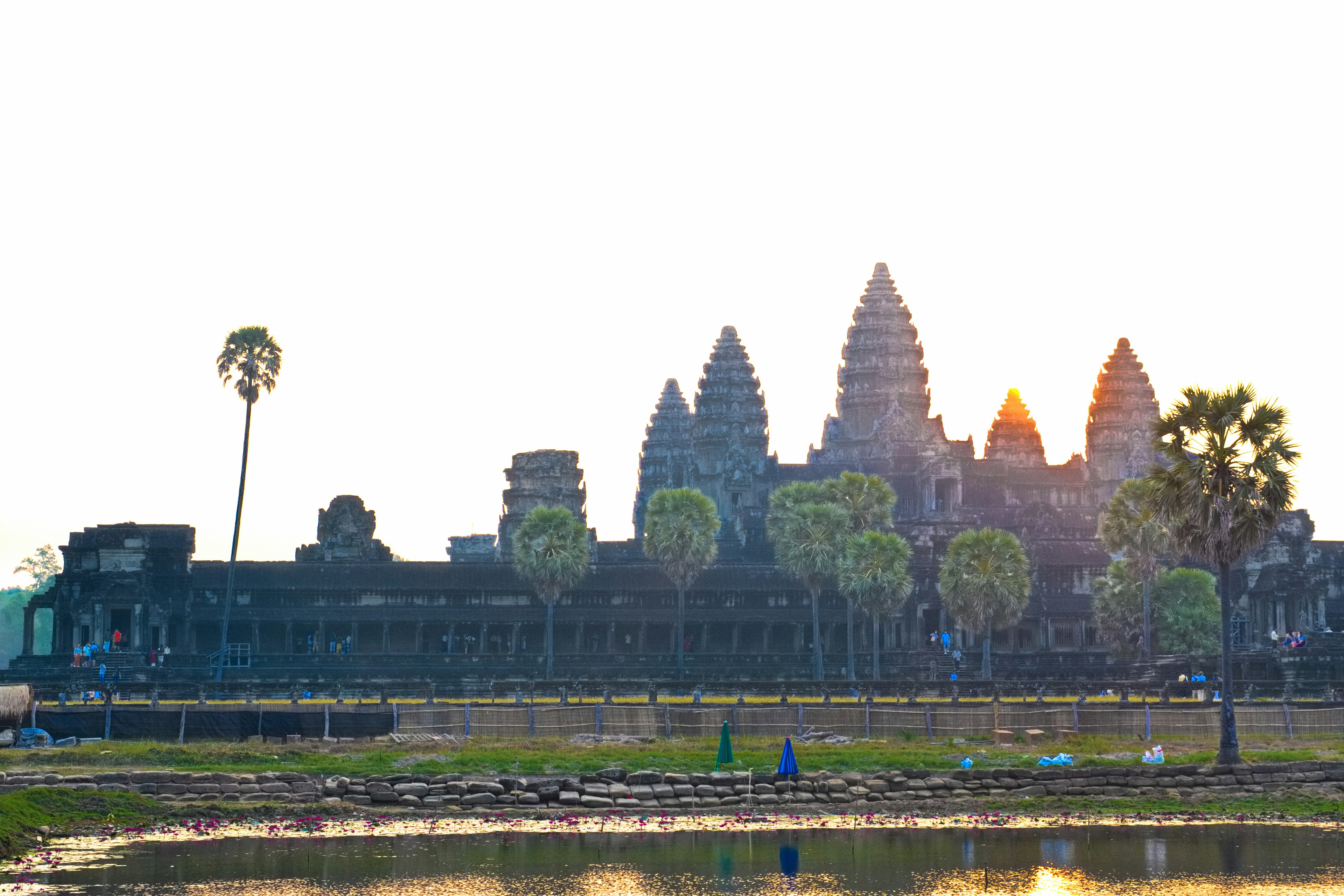 Siluet Angkor Wat saat matahari terbenam dengan pohon palem dan refleksi