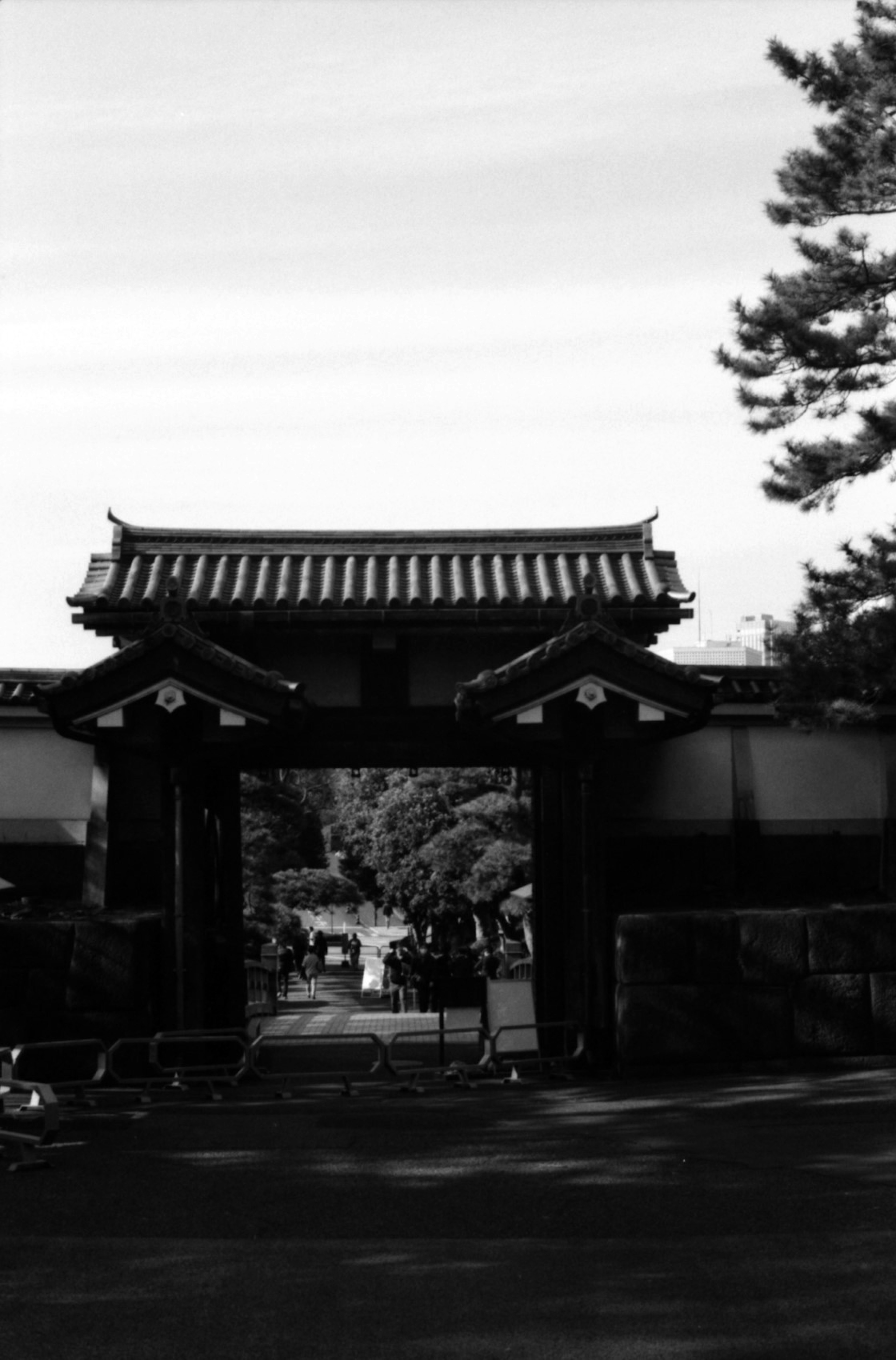 Traditional Japanese gate in a black and white landscape