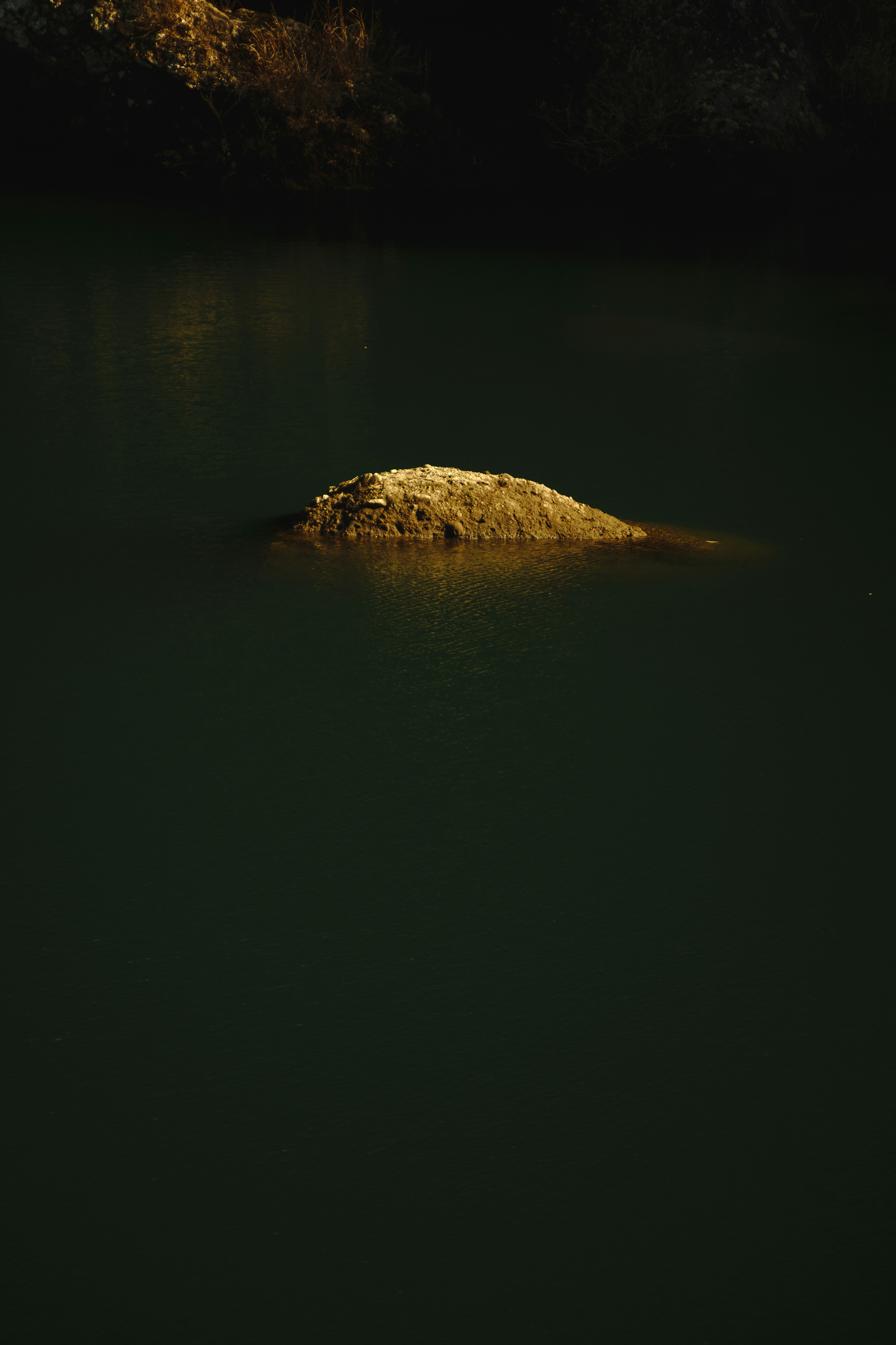 Rock-like object floating on dark green water