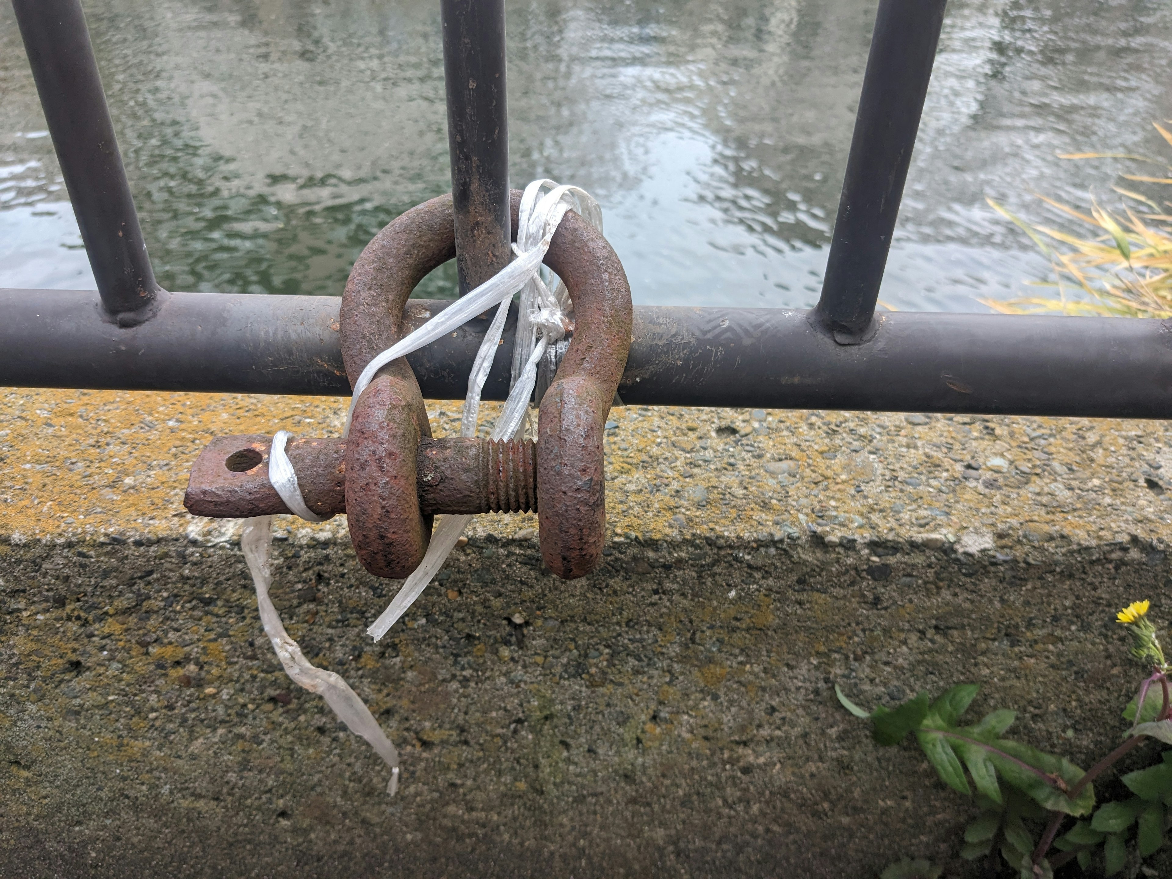 Rusty metal chain secured to a fence near water