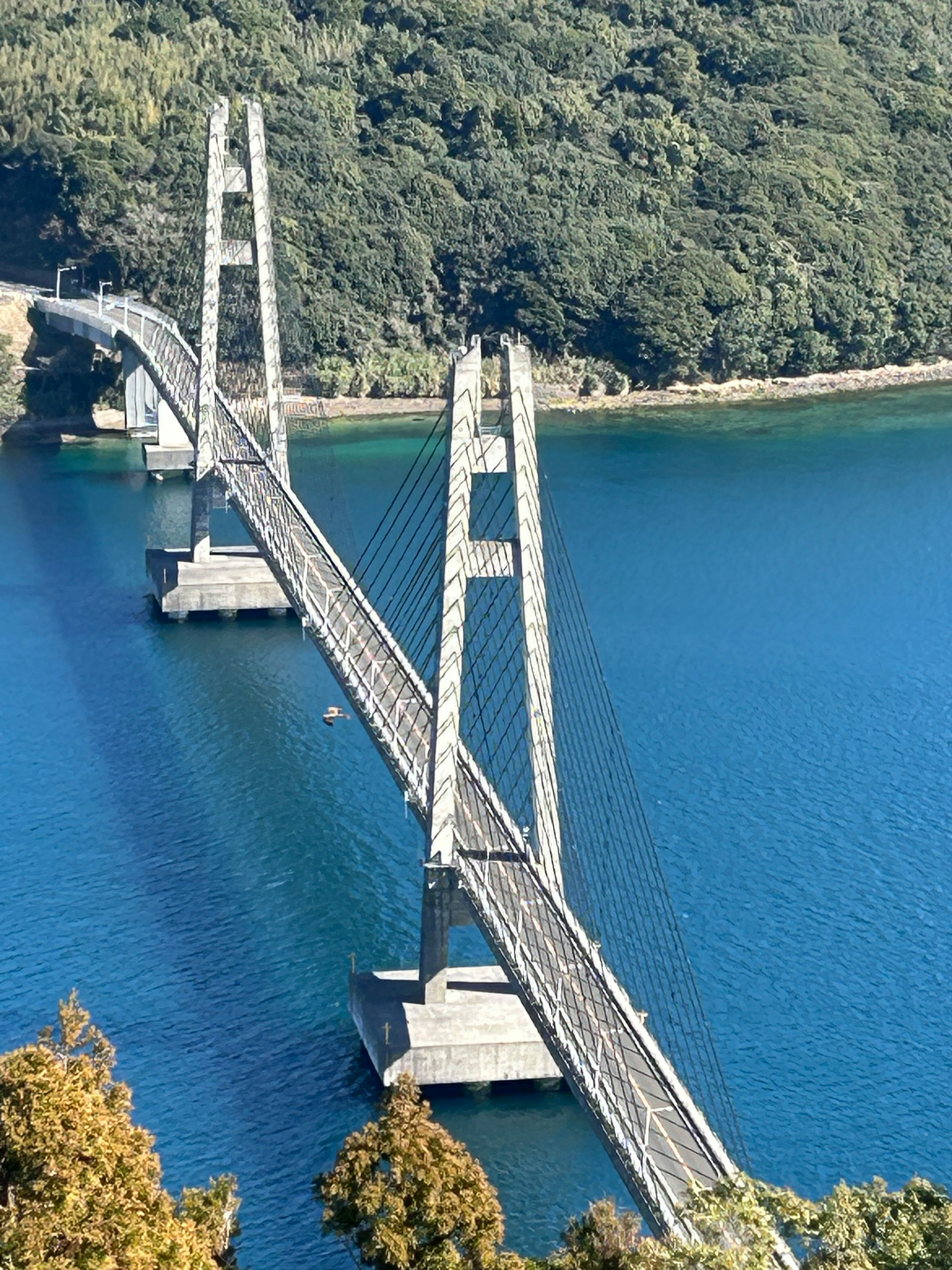 Eine schöne Brücke, die über blaues Wasser spannt mit einer markanten Struktur und umgeben von grünen Bäumen