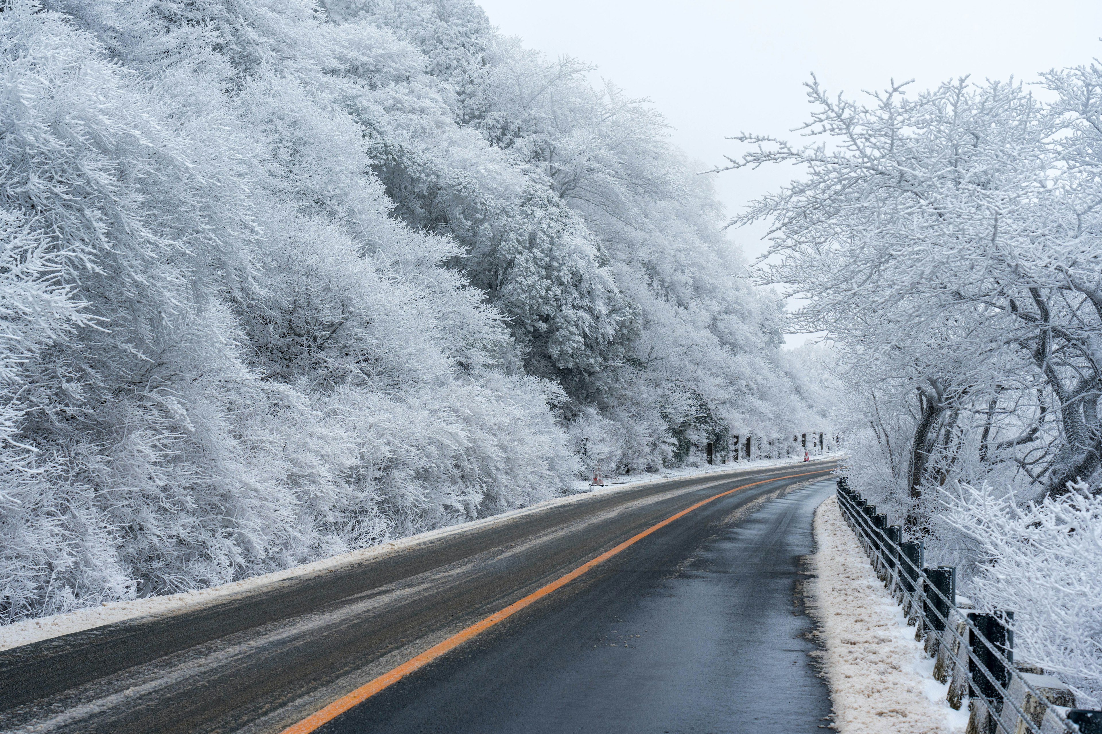 Snow-covered road winding through frosted trees