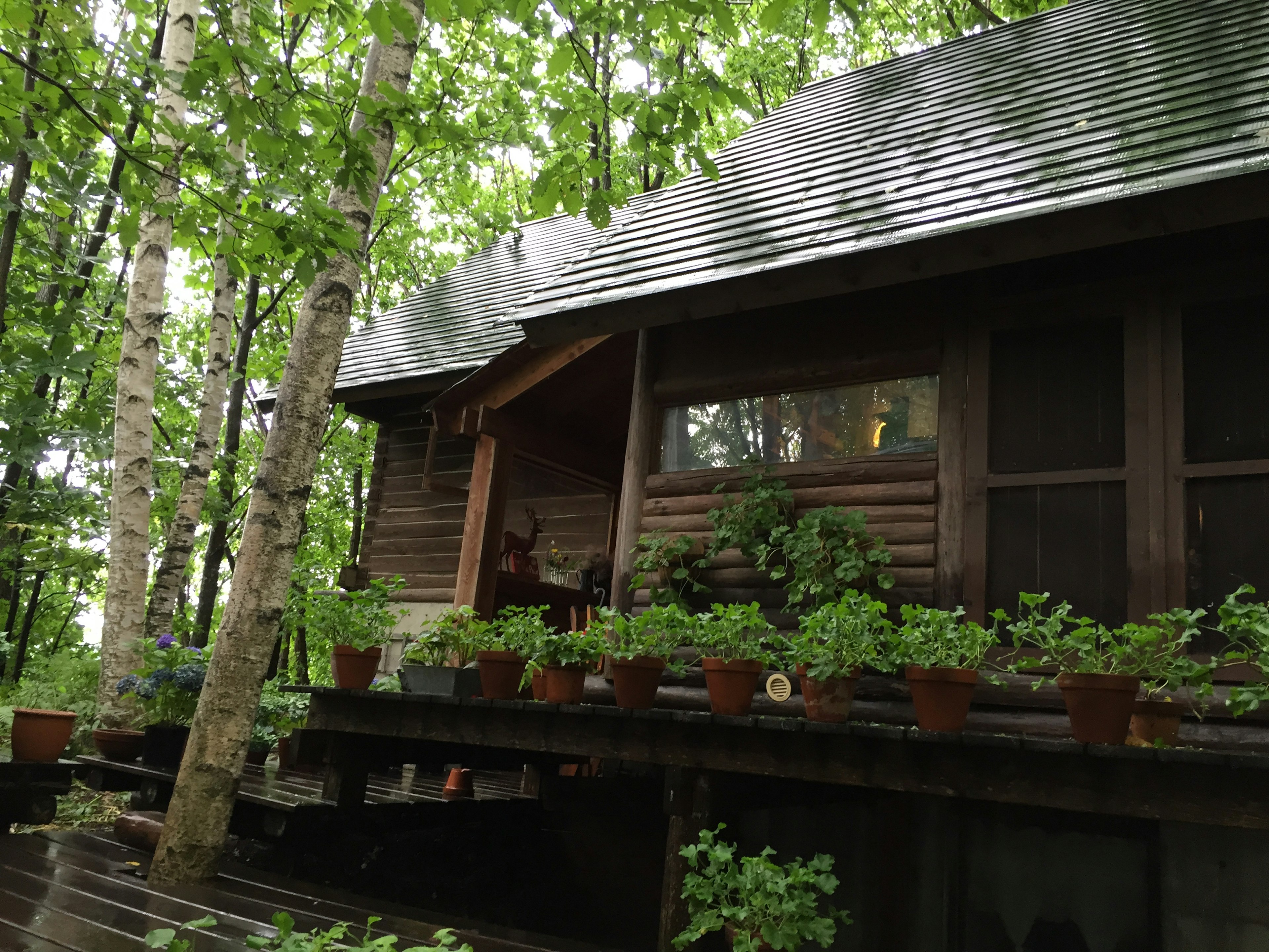 A wooden house nestled in a lush green forest with potted plants on the deck