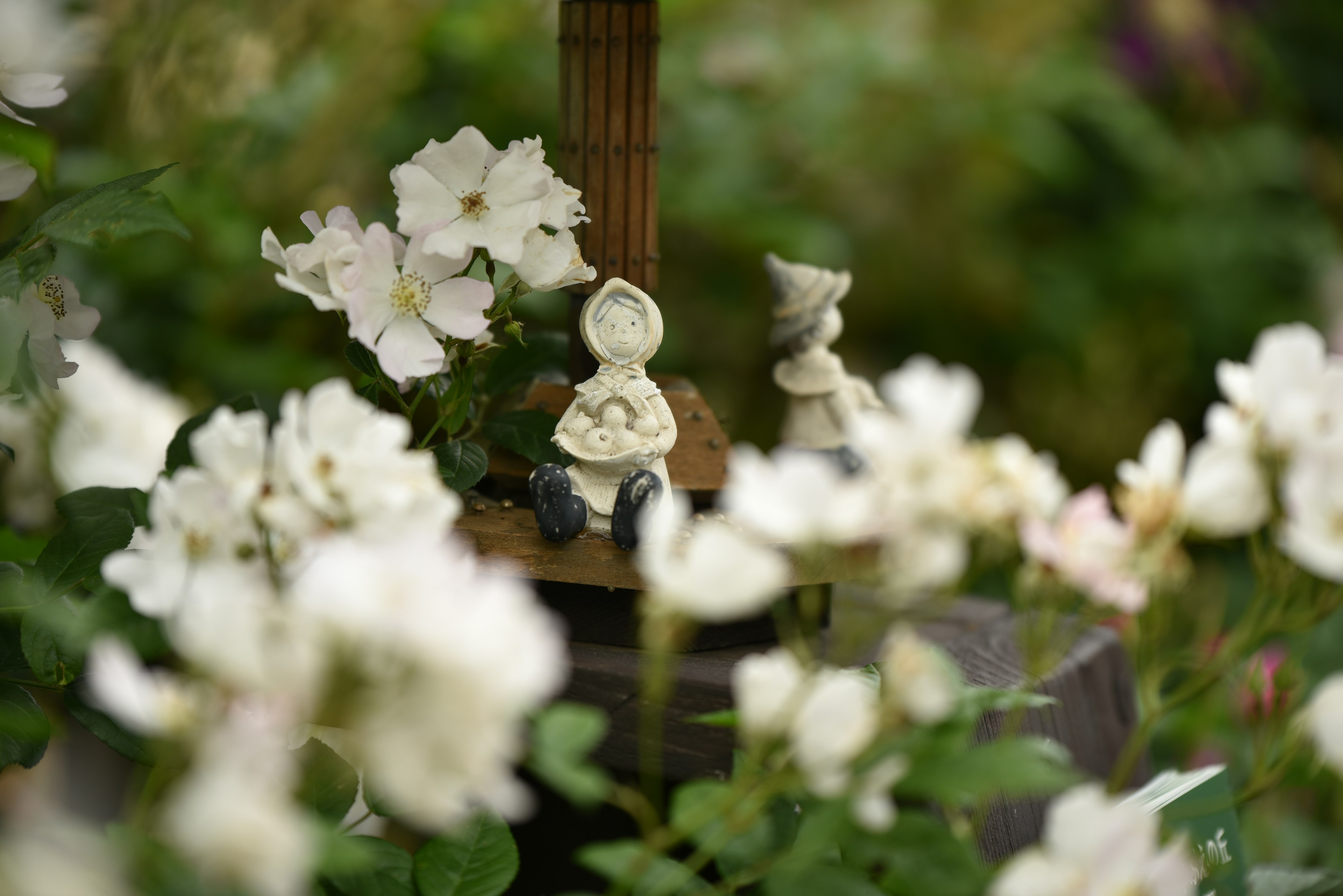 Eine ruhige Szene mit dekorativen Figuren zwischen weißen Blumen