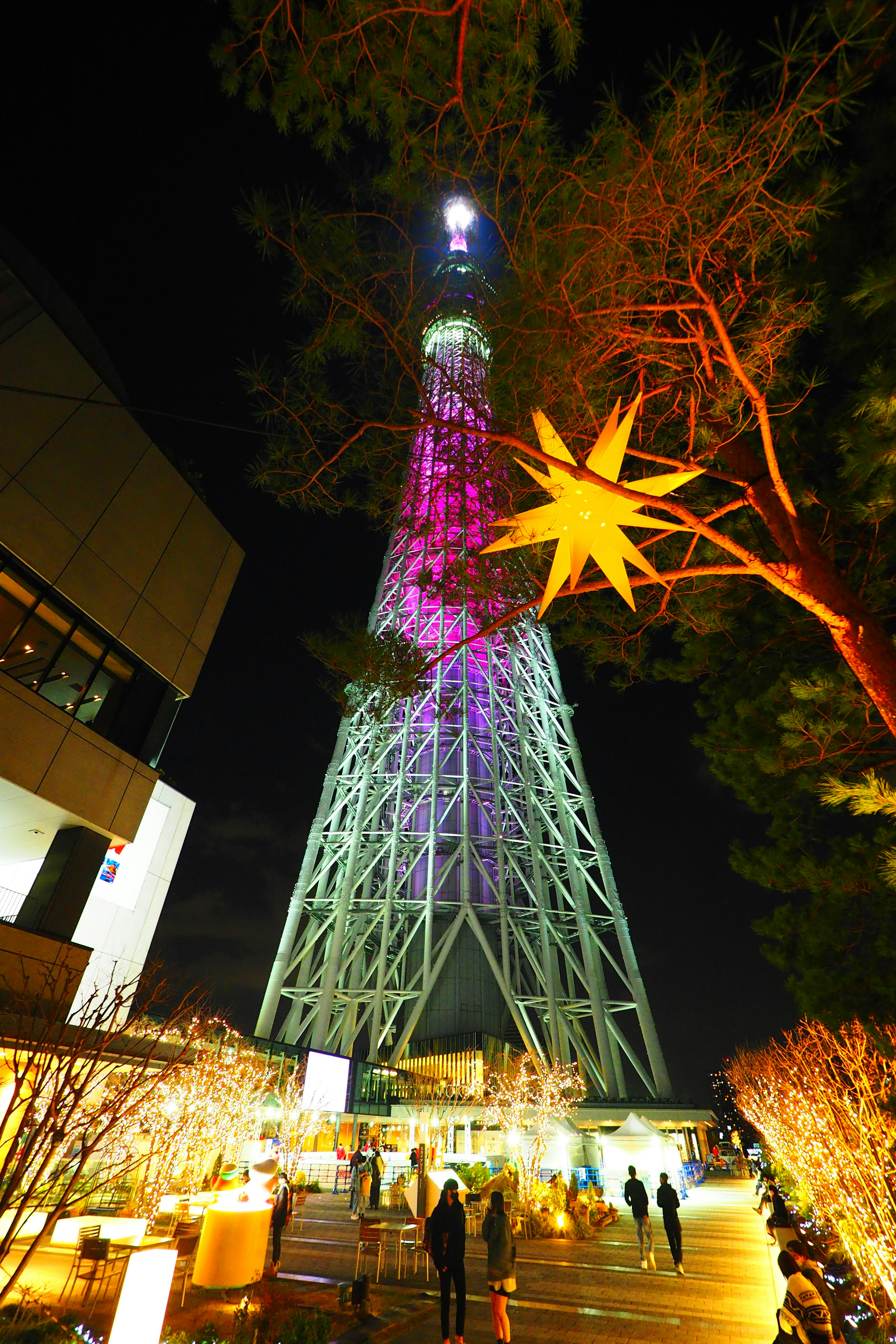 東京スカイツリーが夜に色とりどりにライトアップされている風景