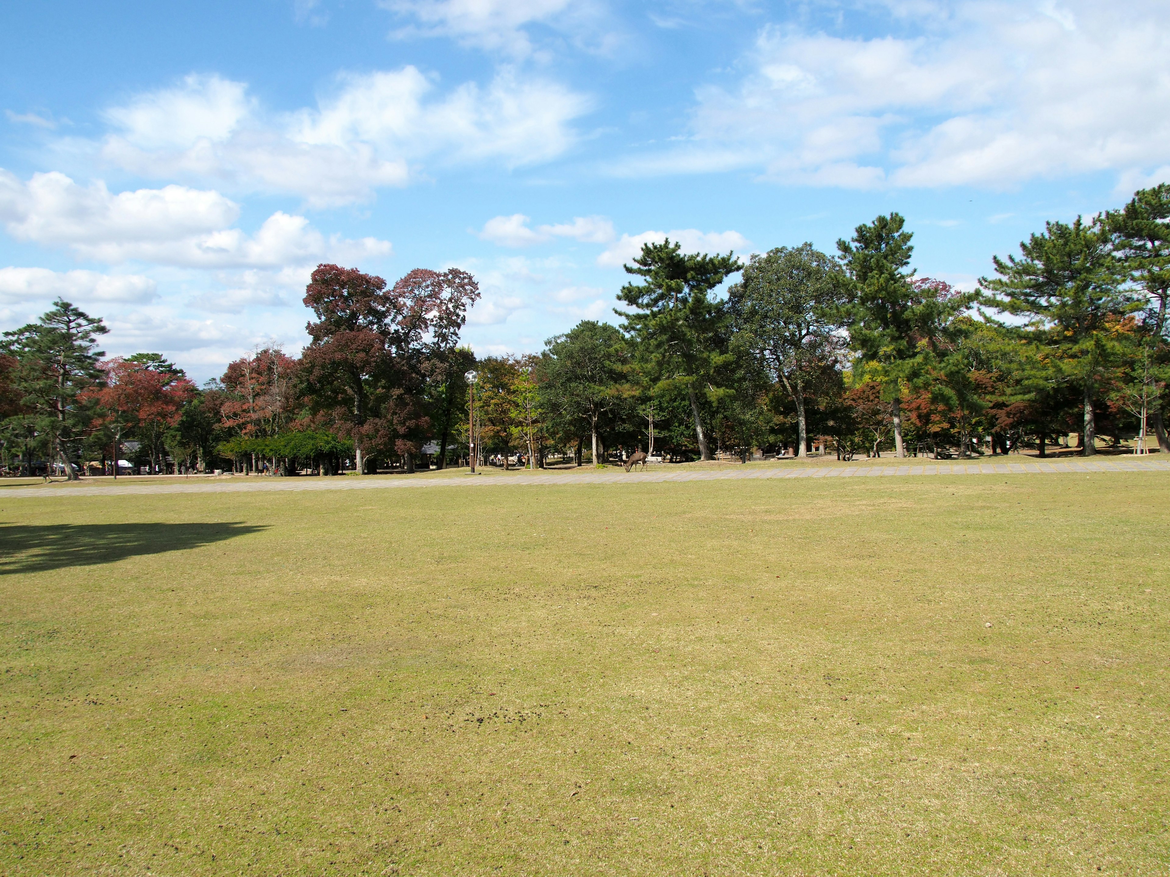 Expansive green field under a blue sky with white clouds