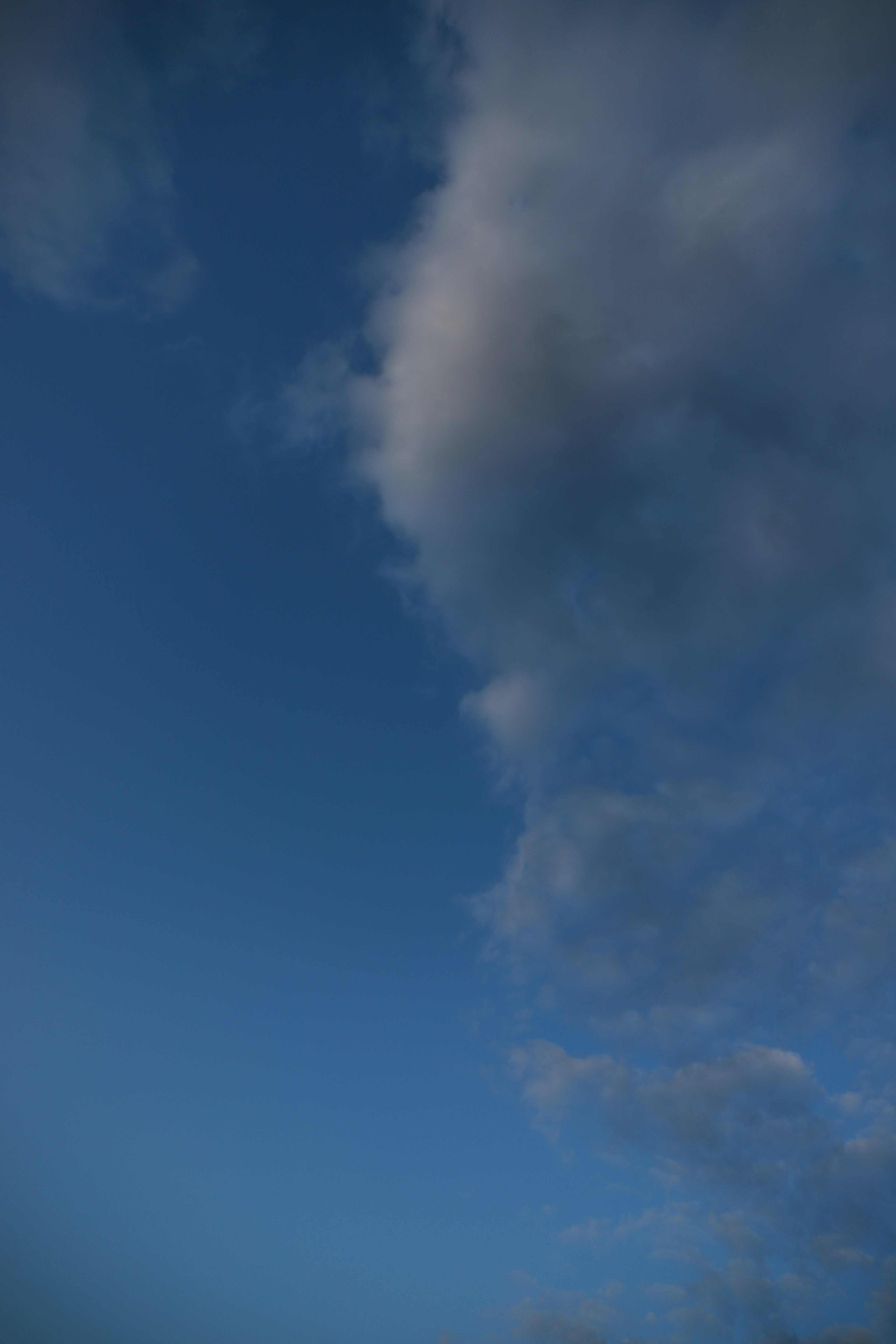 A cluster of clouds in a blue sky