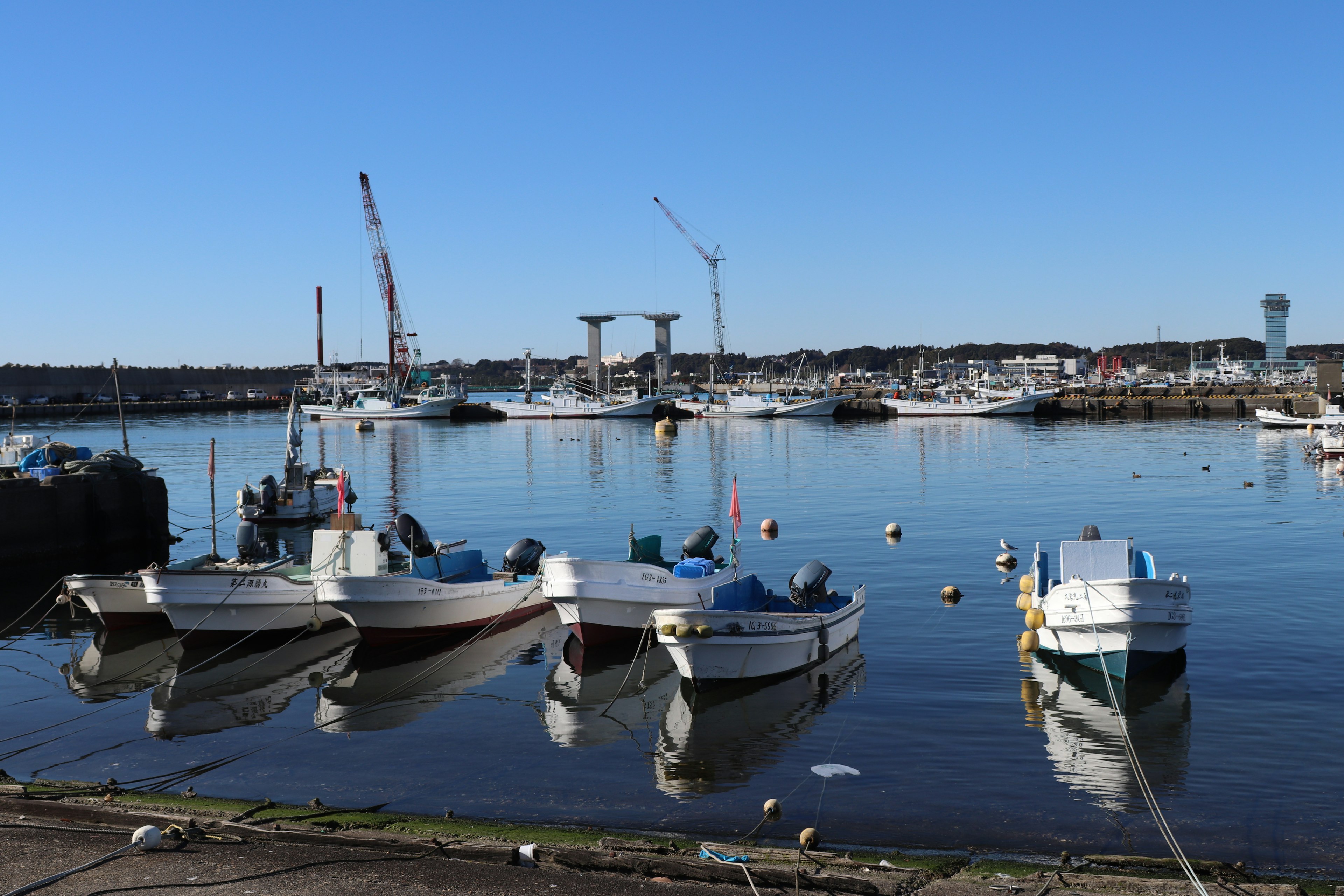 Scène de port avec des bateaux de pêche sur une eau calme et des grues en arrière-plan