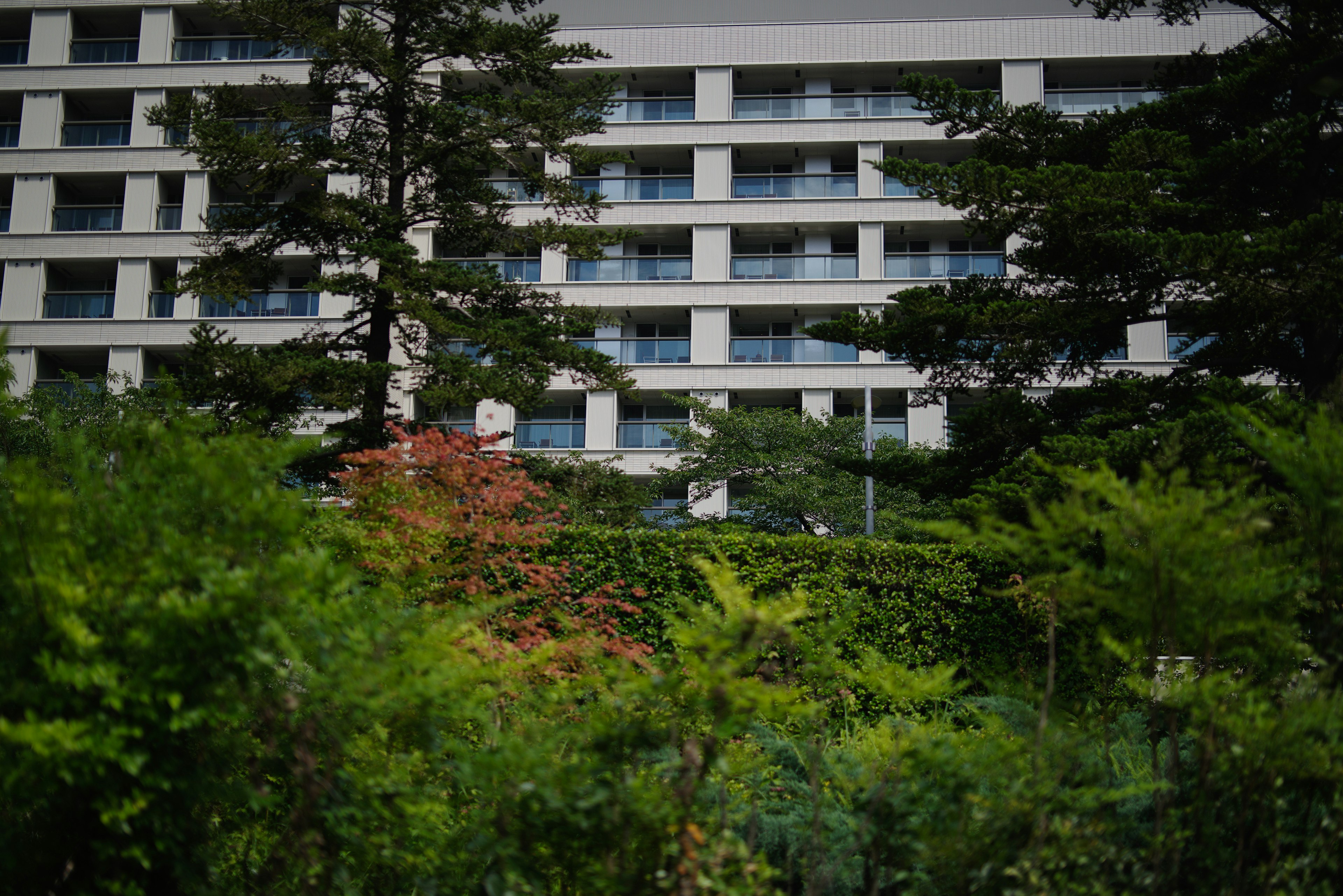 場景展示高層建築與豐盛綠植在前景