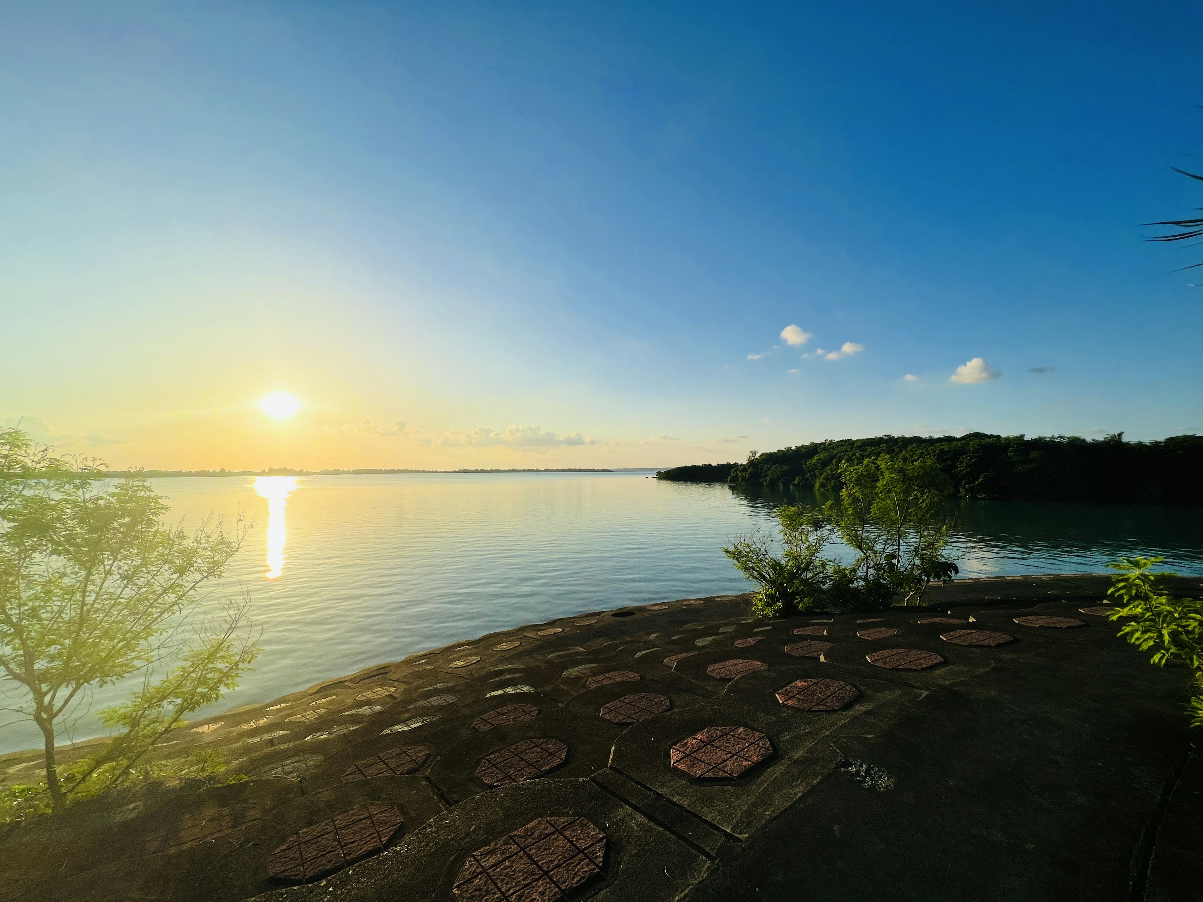 Bellissimo tramonto su un lago con alberi verdi e acqua calma