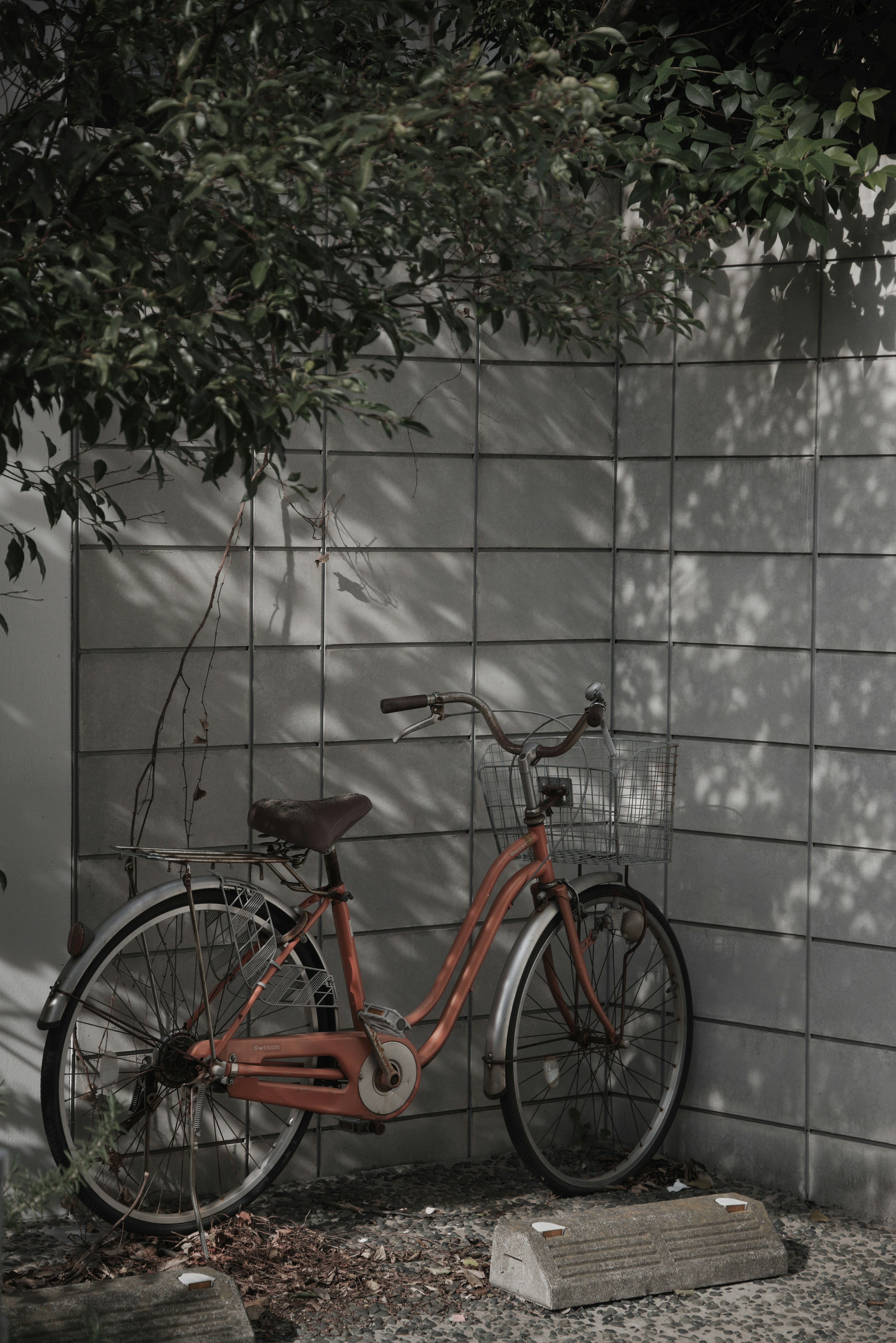 Un vélo orange appuyé contre un mur en béton avec des ombres de feuillage à proximité