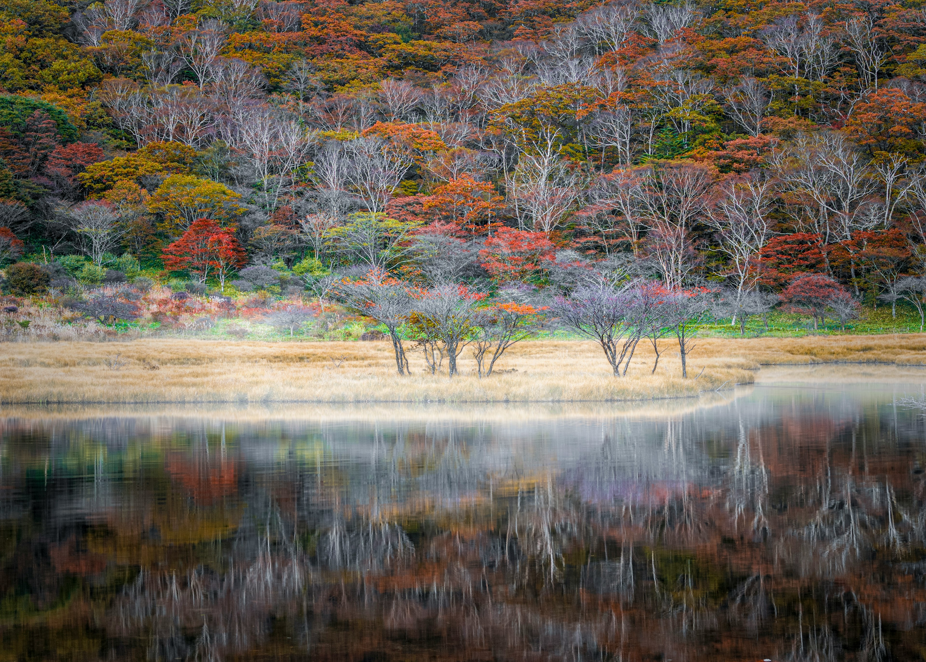 Reflexion von Bäumen am Ufer eines von buntem Herbstlaub umgebenen Sees