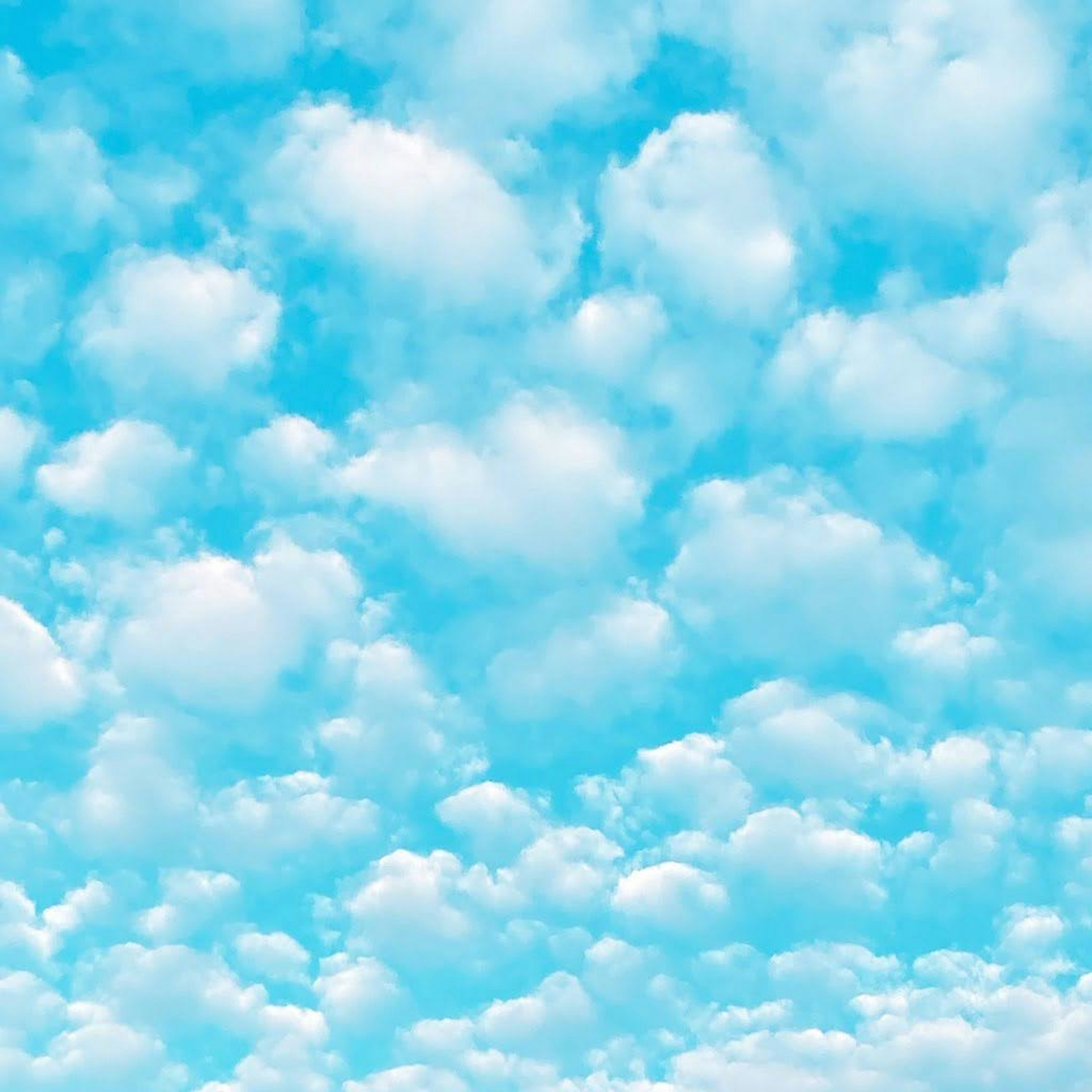 Blue sky filled with fluffy white clouds