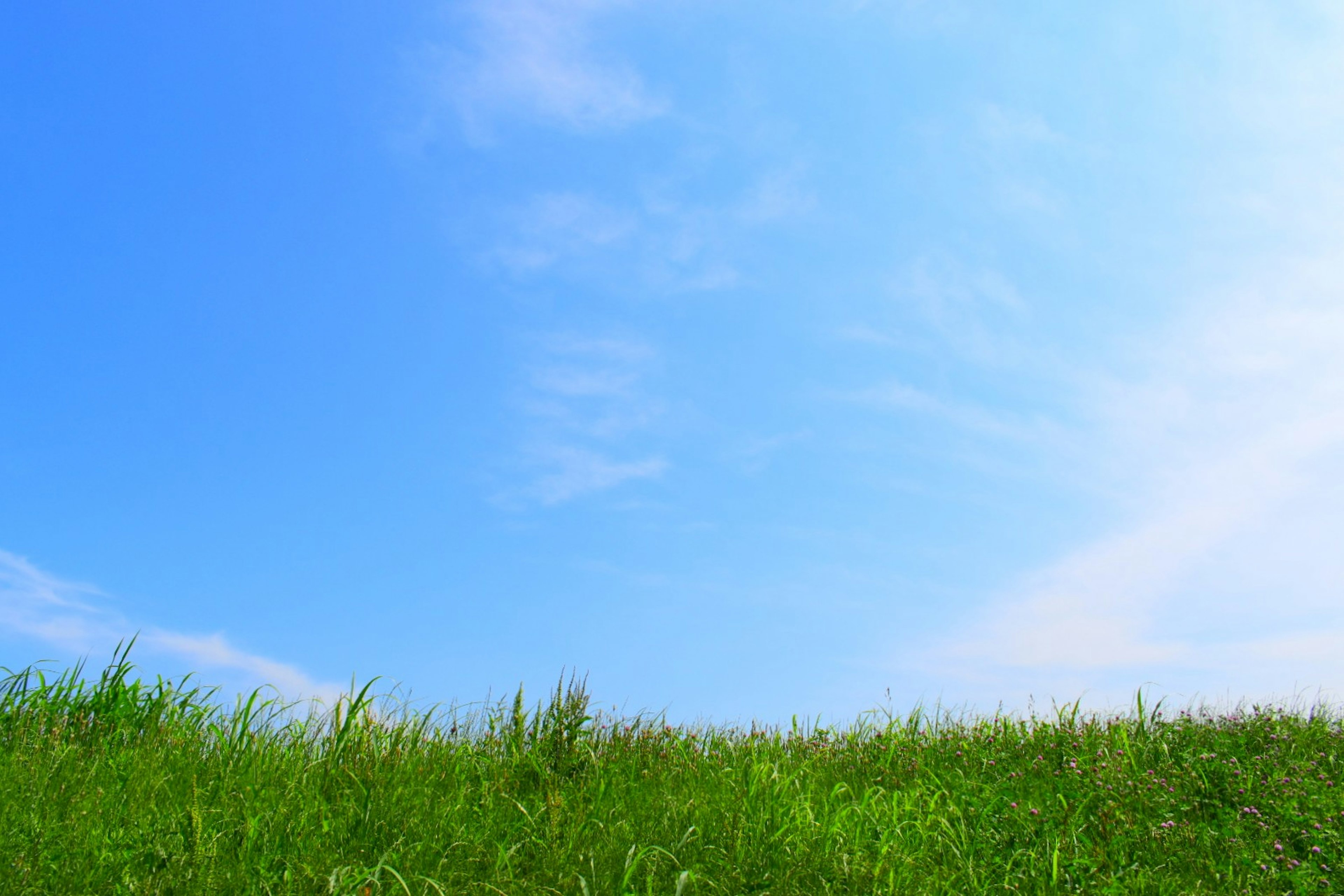 Pemandangan dengan langit biru jernih dan rumput hijau