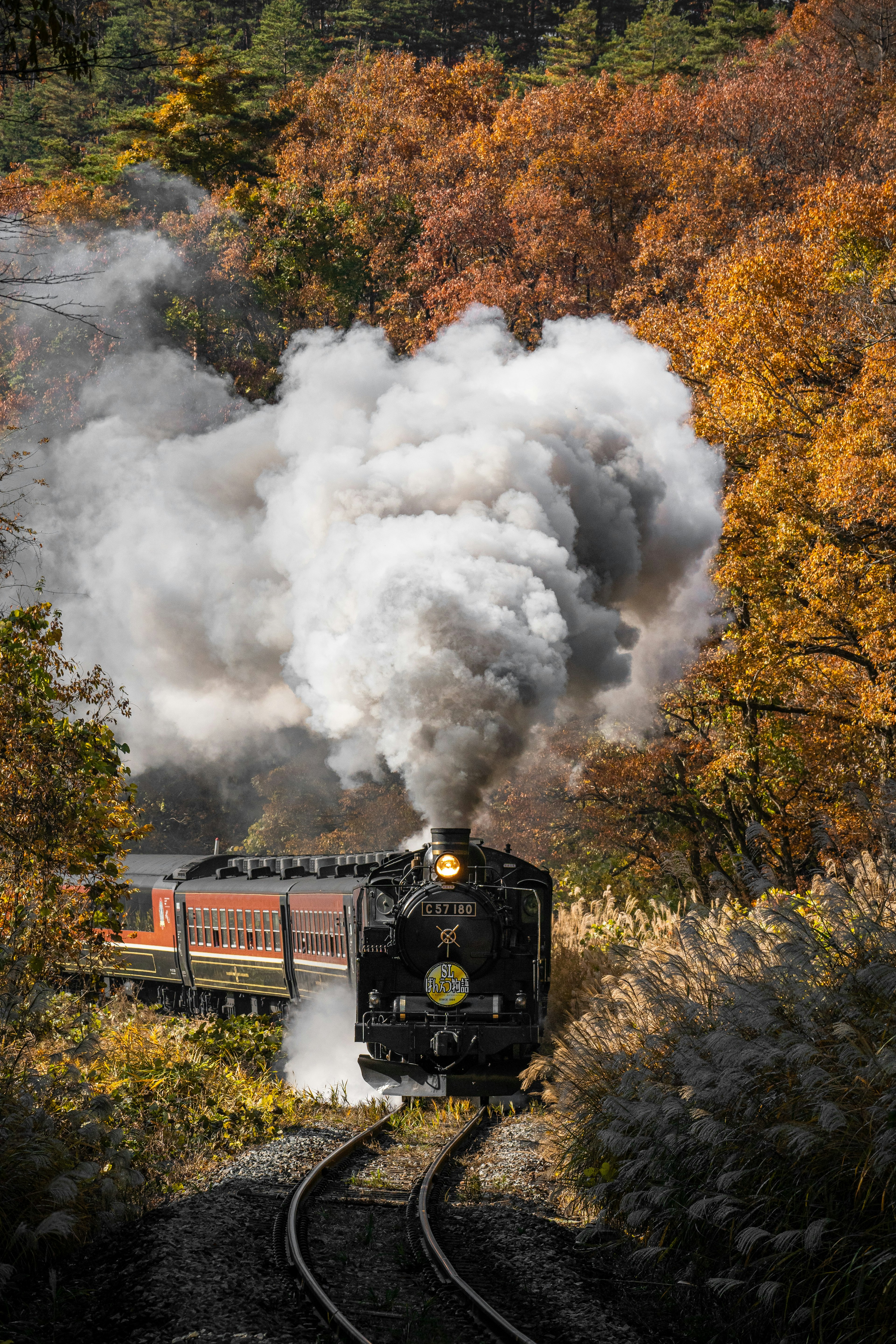 Locomotiva a vapore che attraversa un paesaggio autunnale