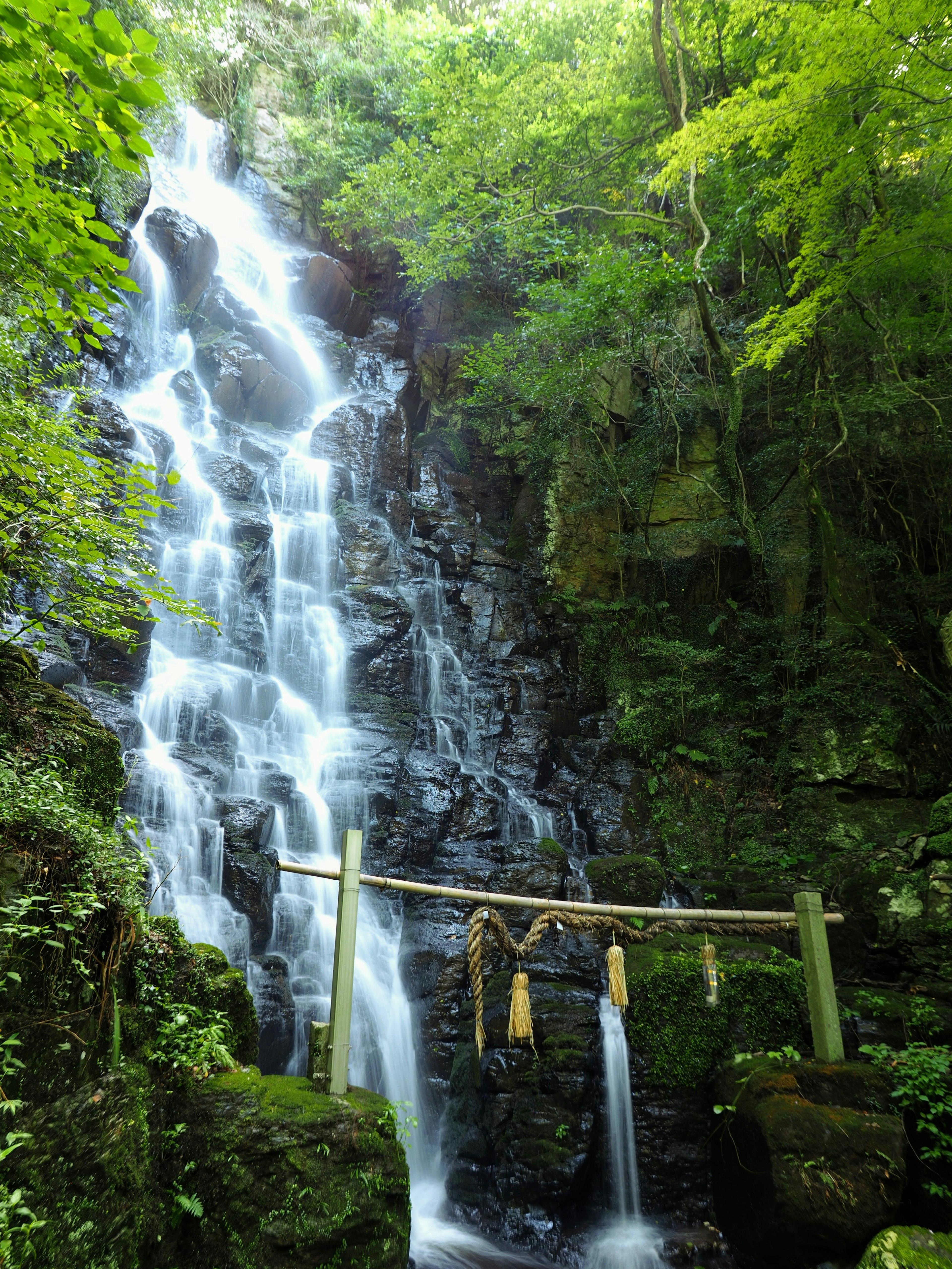 Air terjun indah dikelilingi oleh pepohonan hijau subur dan dekorasi bambu