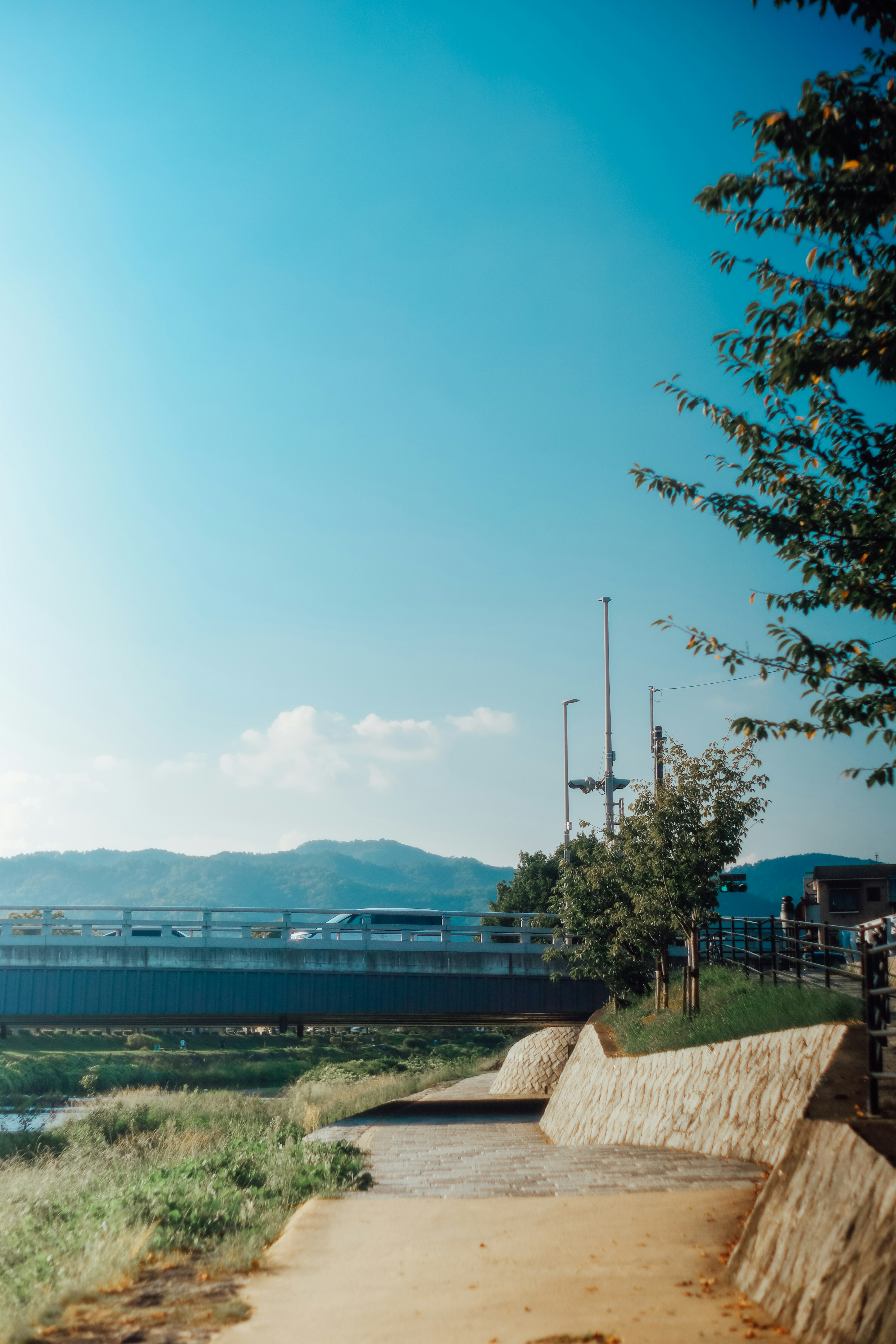 Vista pintoresca de un cielo azul soleado y un paseo junto al río con un puente y árboles