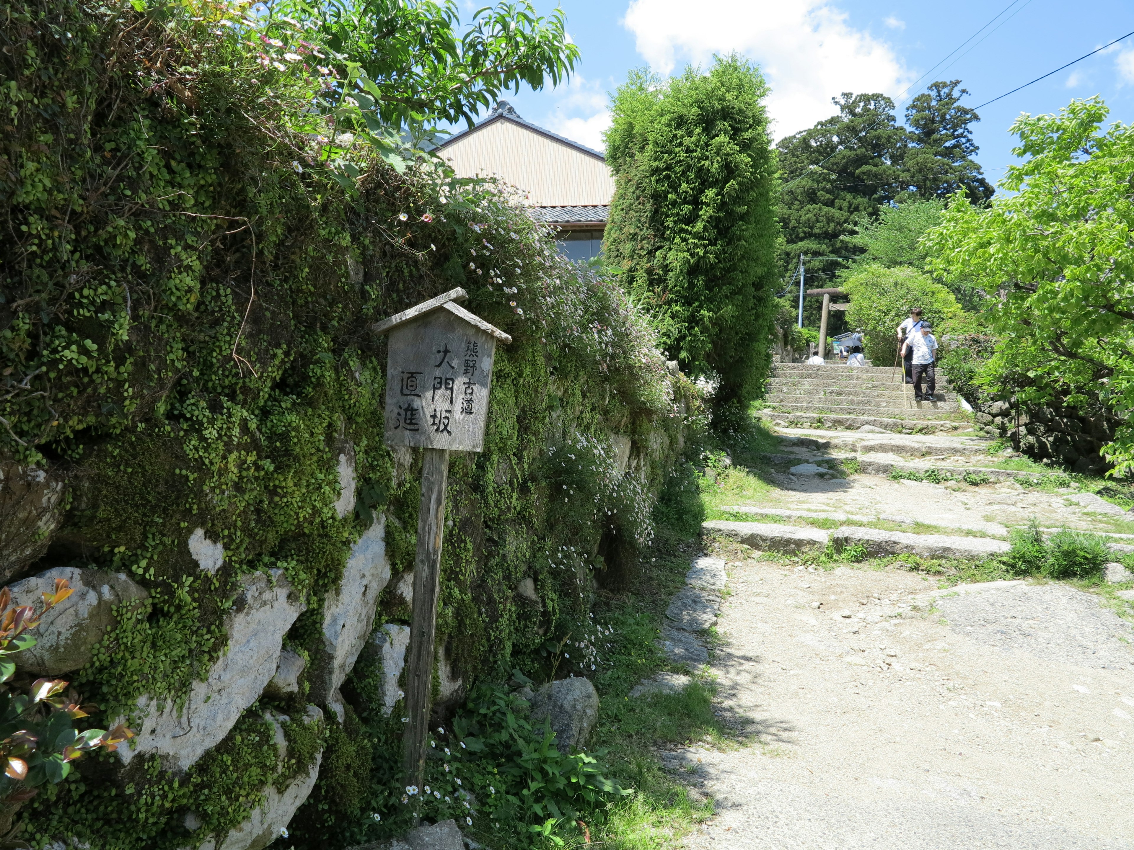 Un chemin pittoresque avec une vieille boîte aux lettres et une maison entourée de verdure