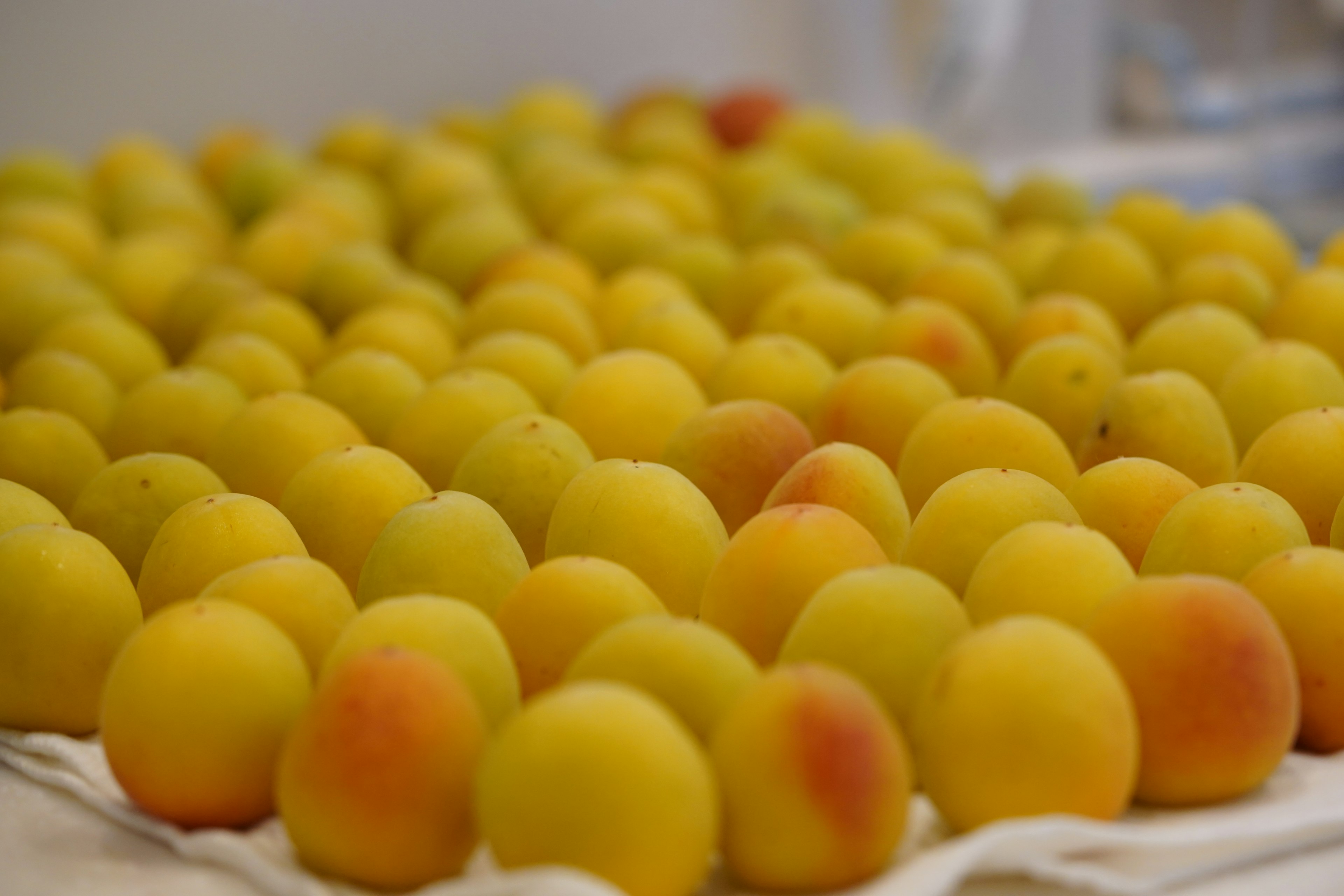 Une table recouverte de rangées de fruits jaunes