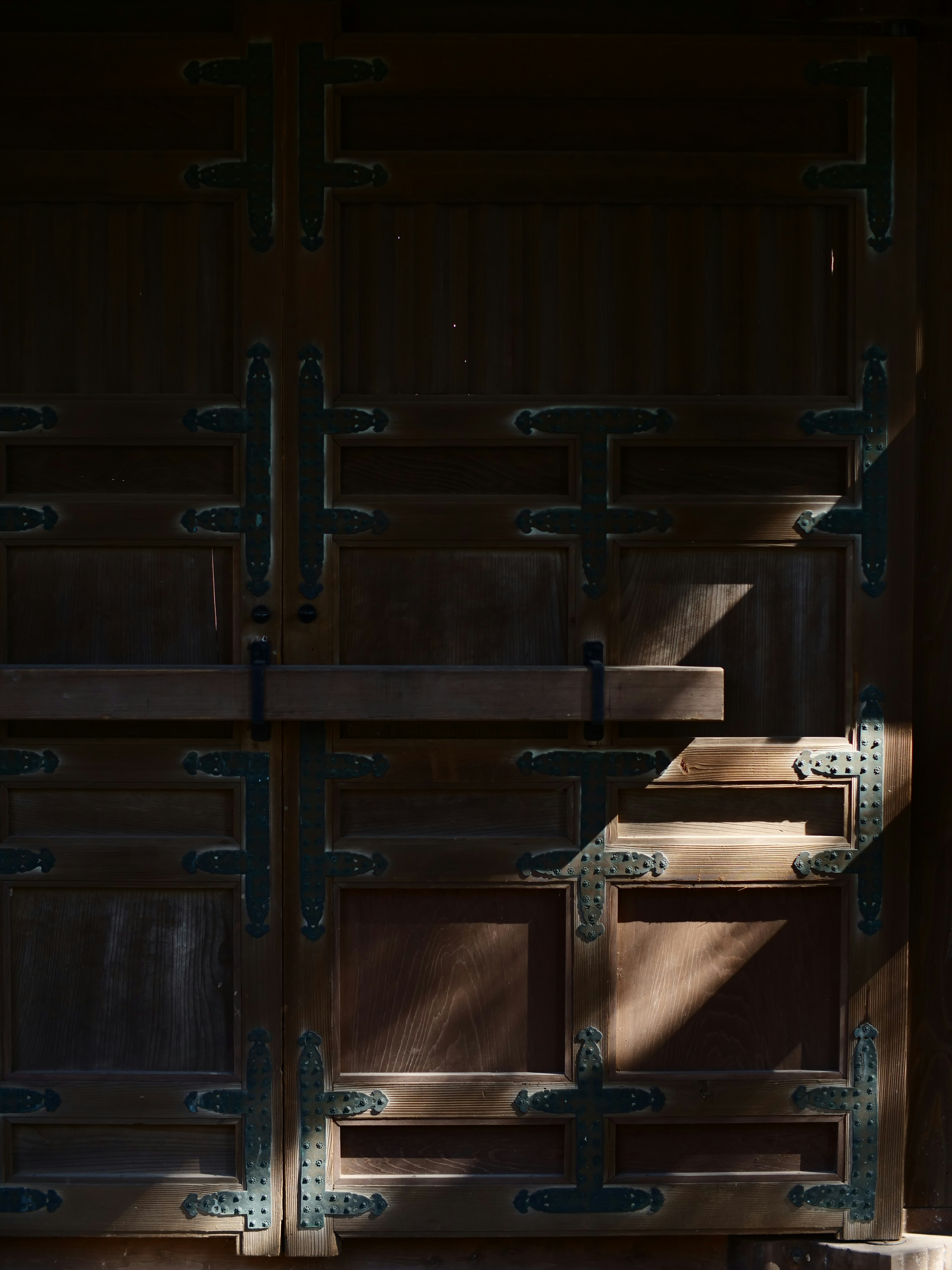 Detailed wooden door with contrasting shadows and light