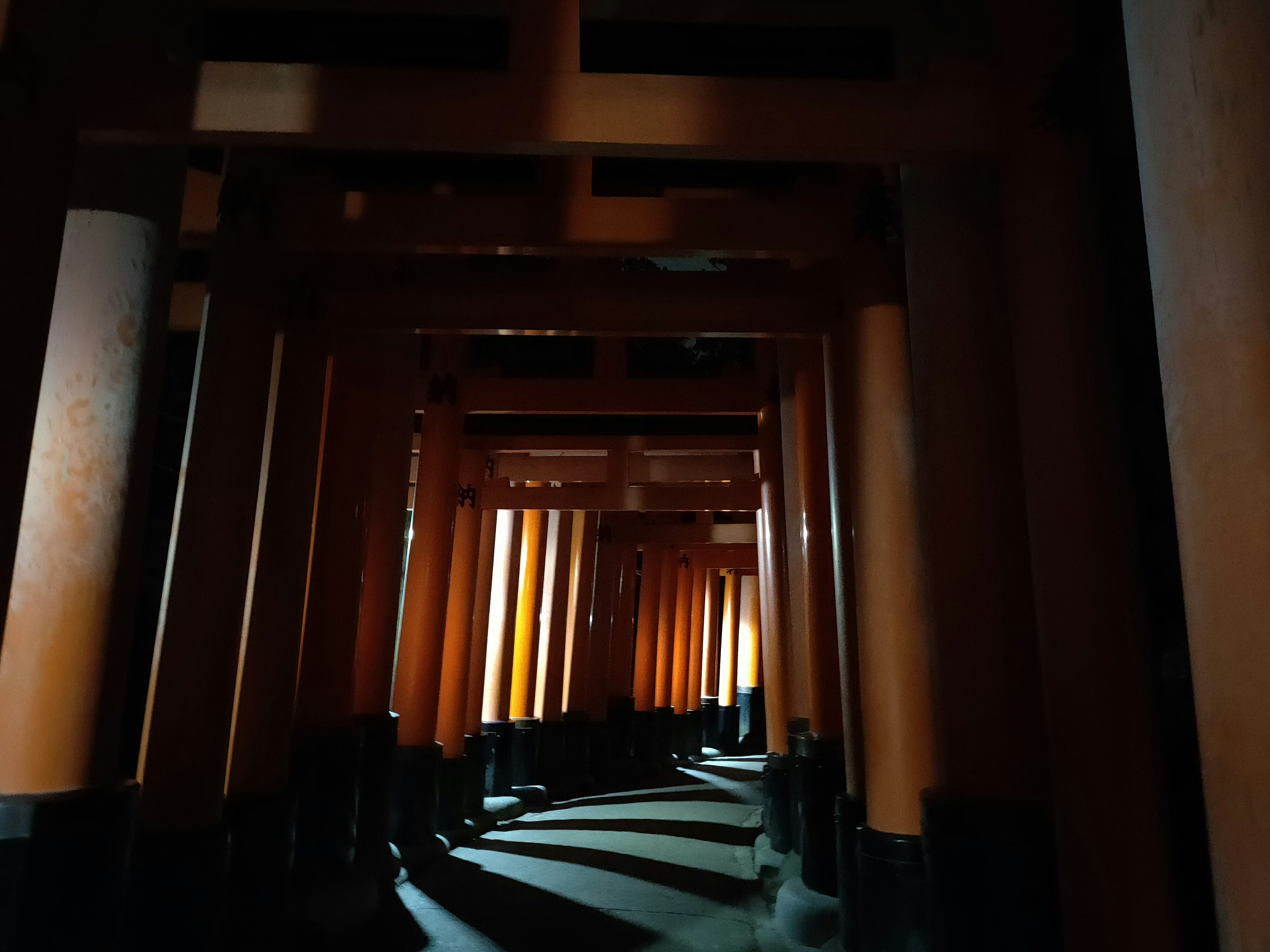 Tunnel view of red torii gates with striking light and shadow