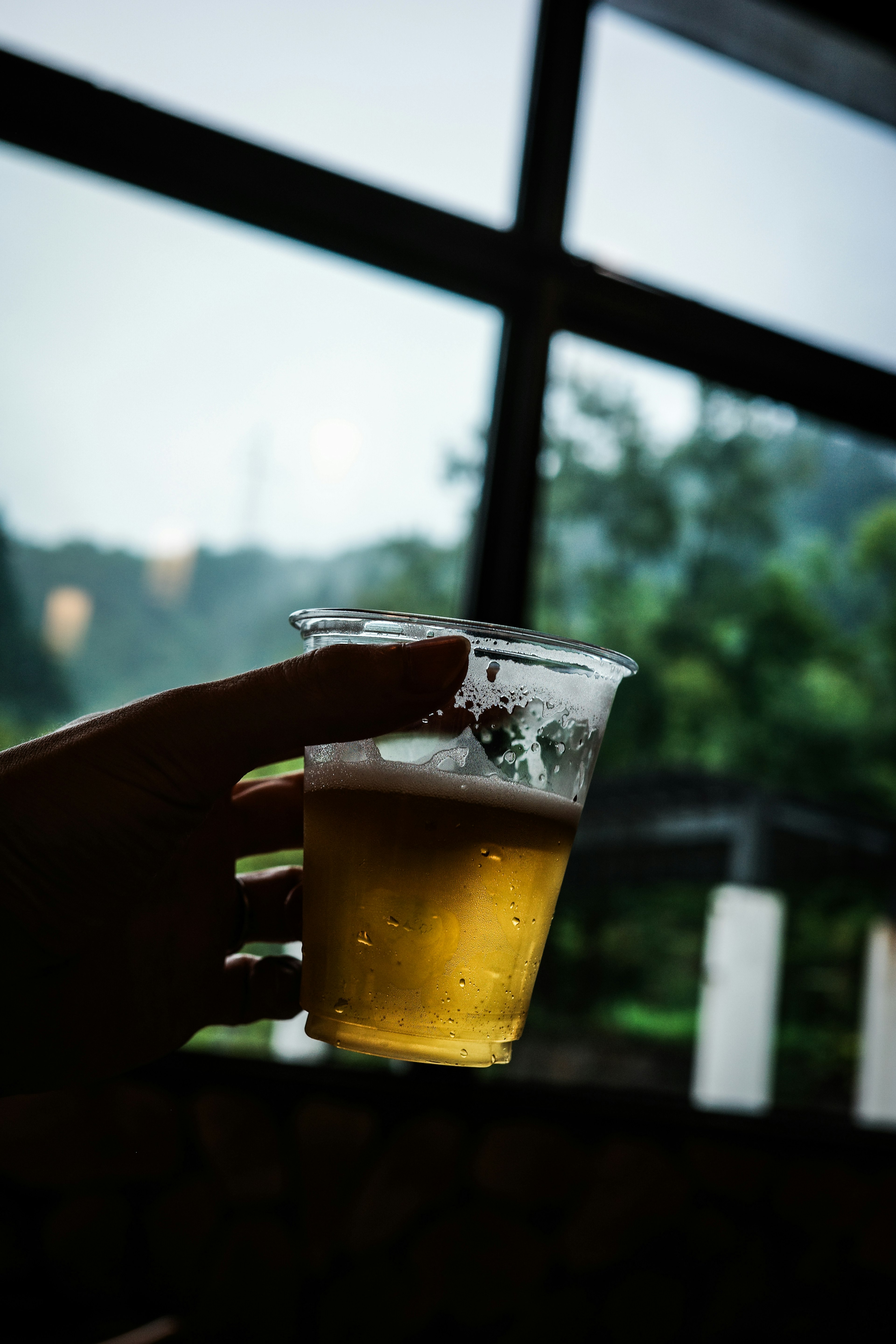 手に持たれたビールのカップと緑の背景