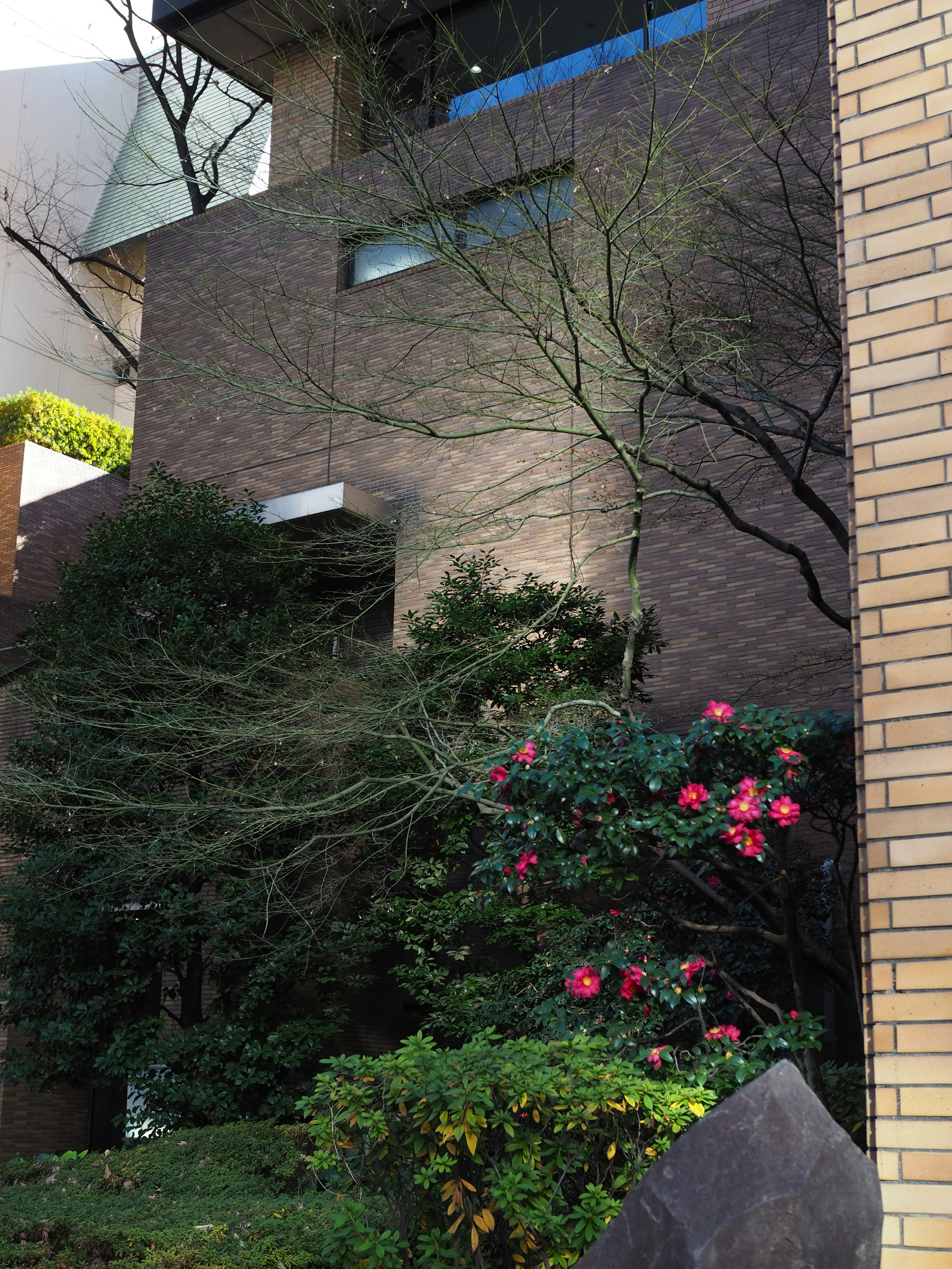 Fachada de un edificio moderno con vegetación exuberante y arbustos en flor