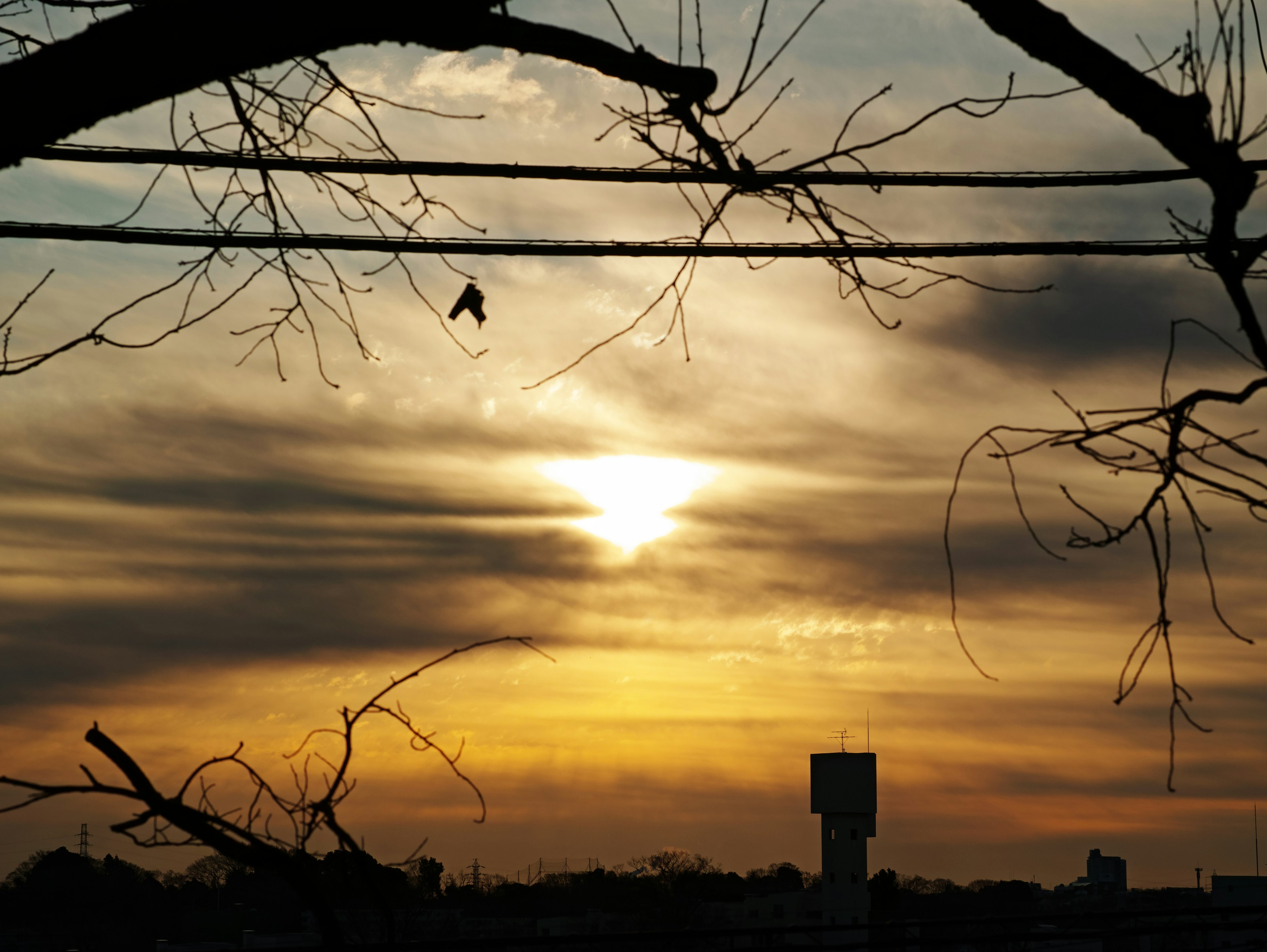 Silhouette von Ästen gegen einen Sonnenuntergangshimmel