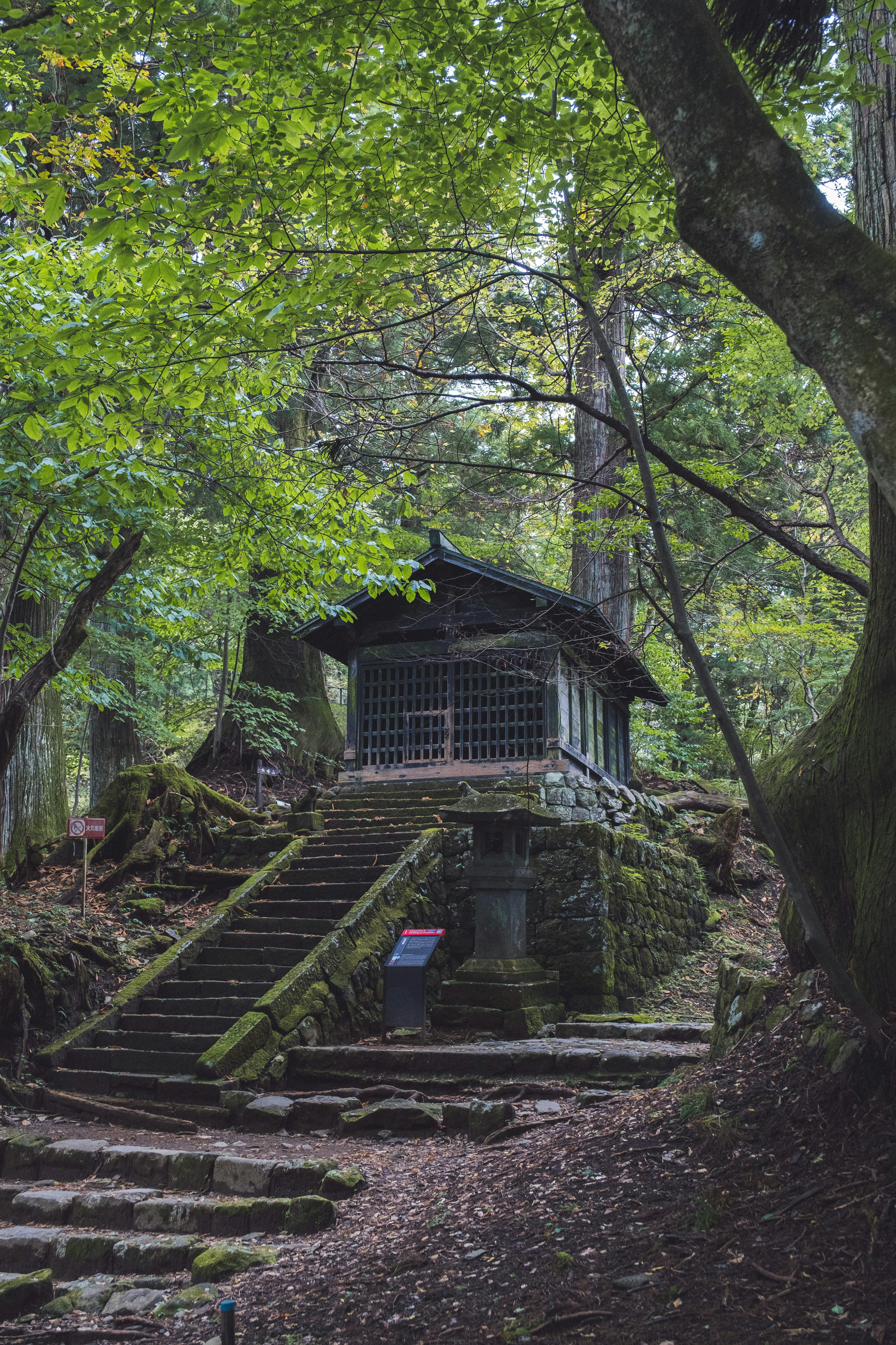 緑豊かな森の中にある古い神社のような建物と階段