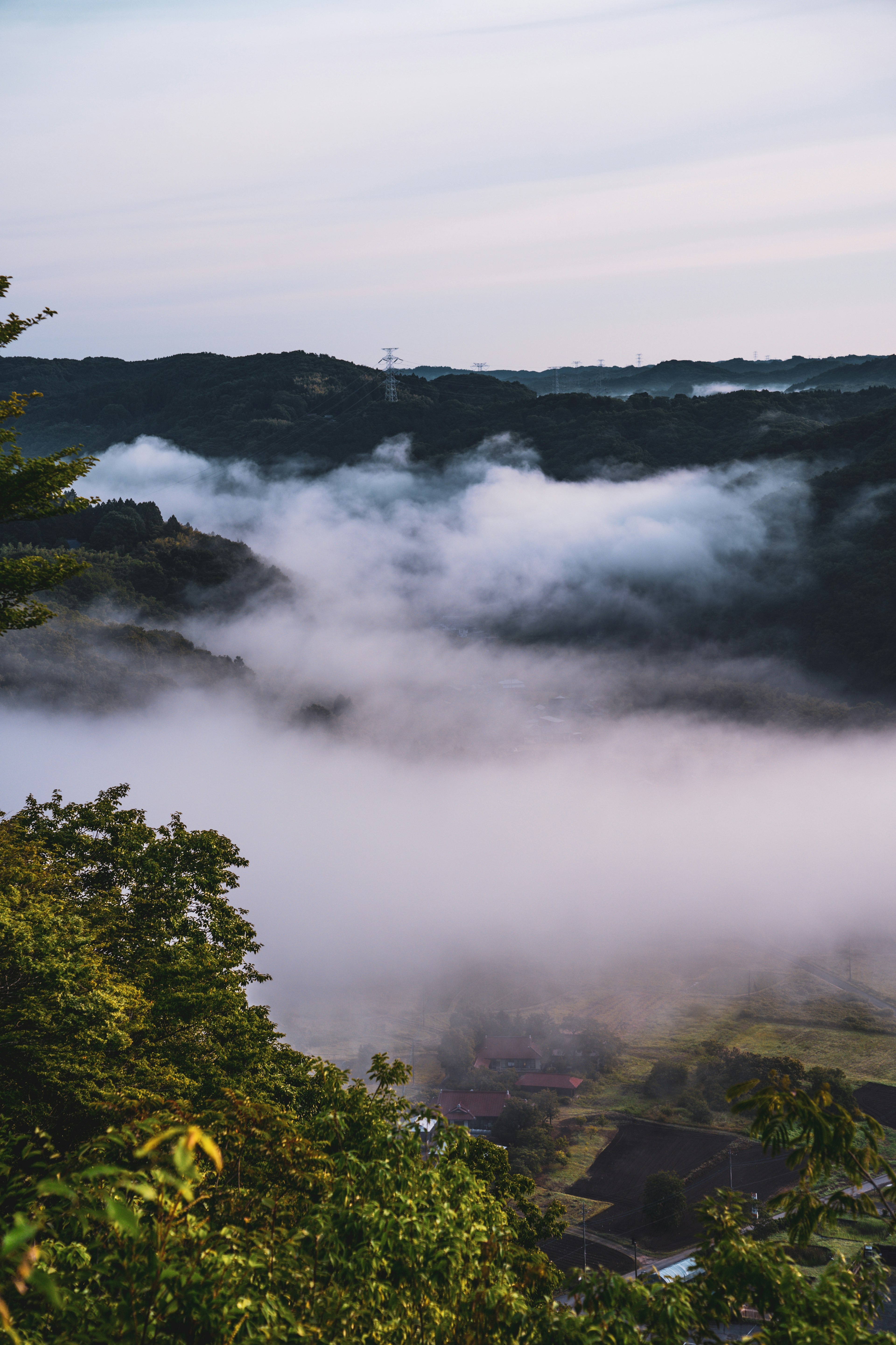 Paysage montagneux enveloppé de brouillard avec des arbres verts luxuriants