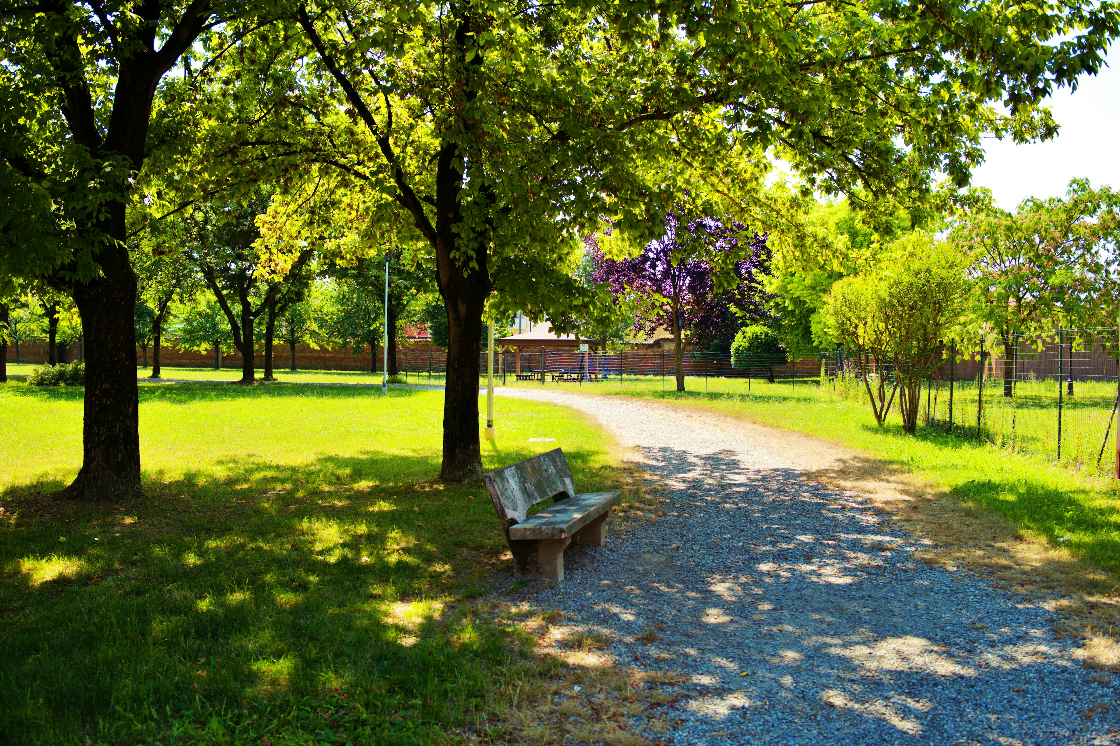 風景如畫的公園小徑，旁邊有長椅和郁鬱蔥蔥的樹木