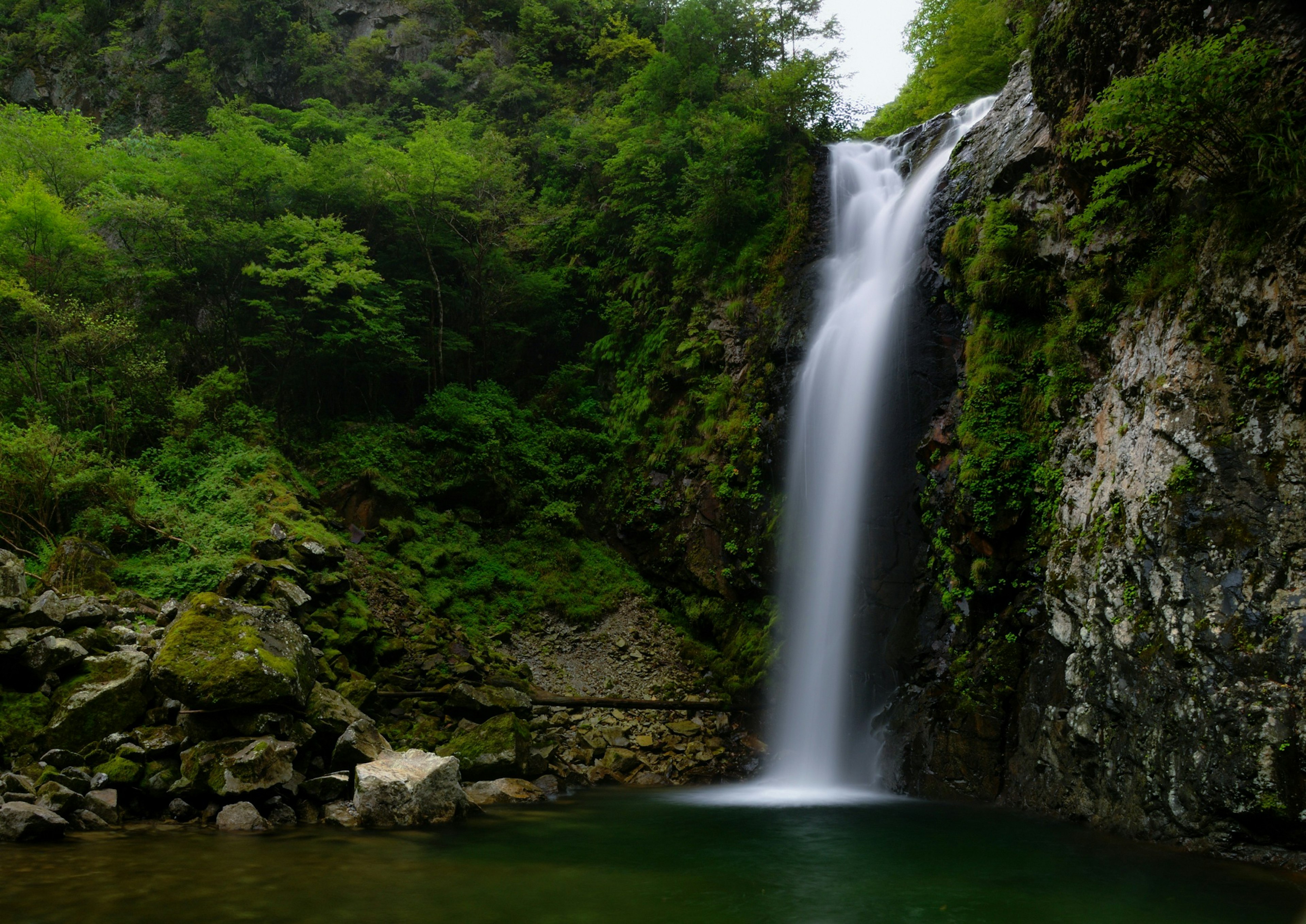 緑豊かな森林に囲まれた美しい滝の風景