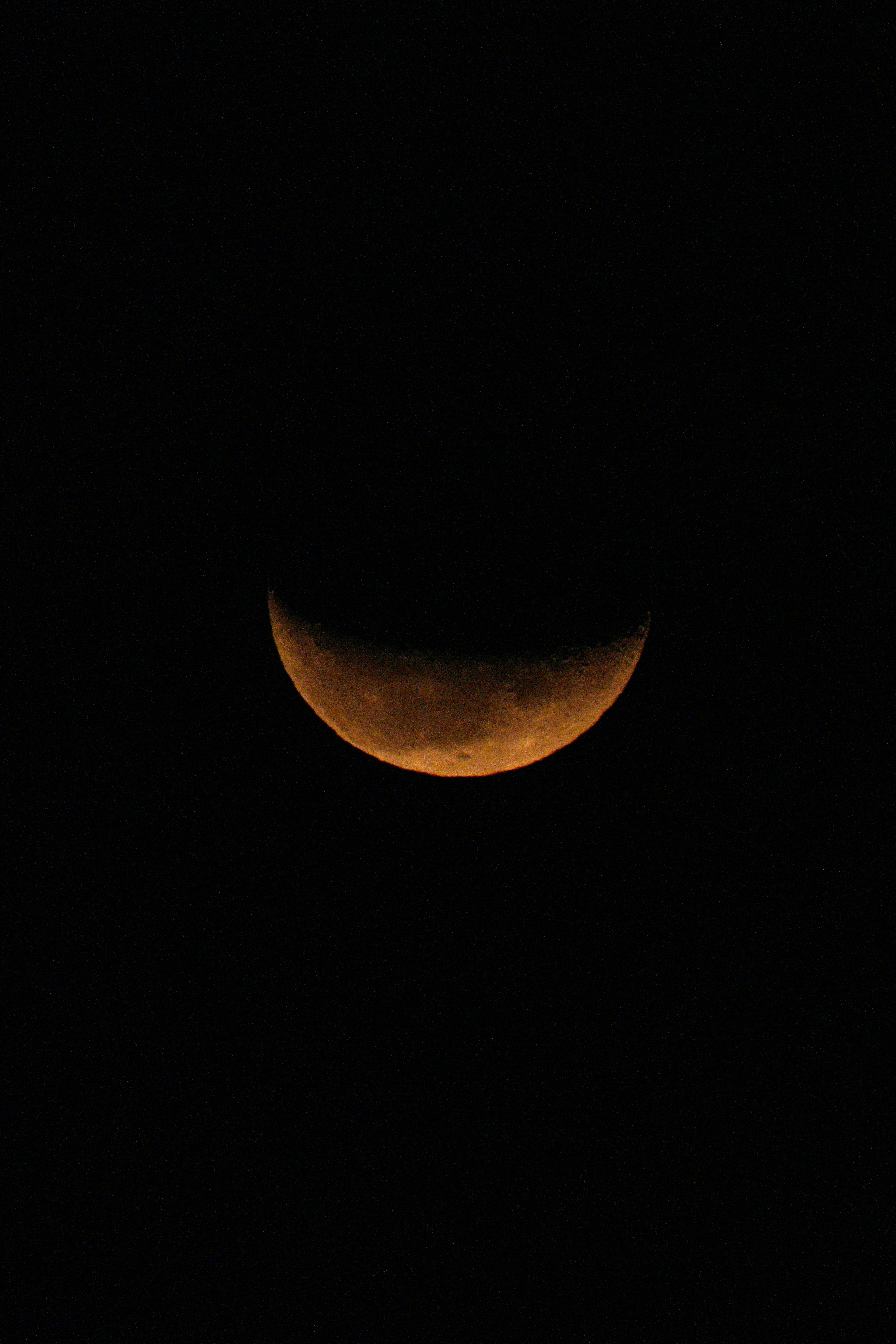 Bulan sabit oranye di langit malam