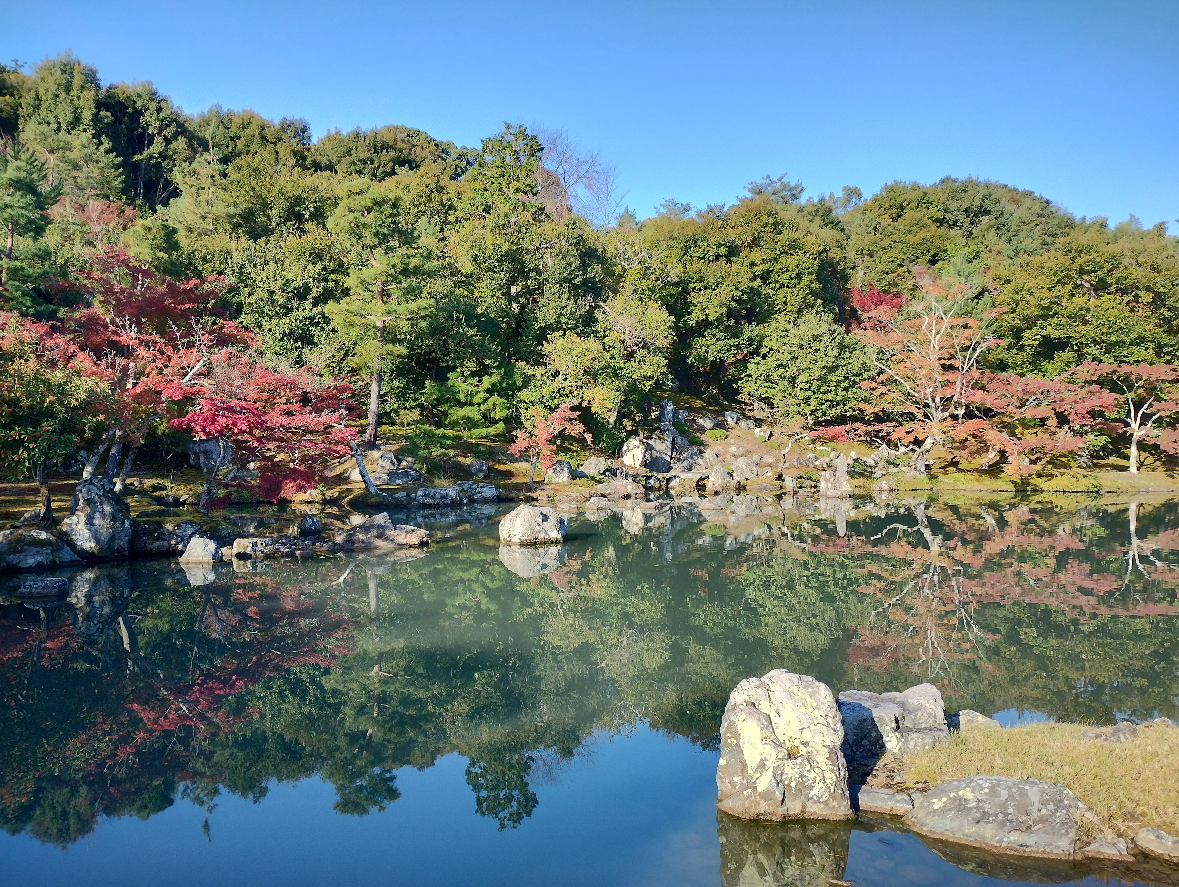 Ruhiger Teich mit lebhaftem Herbstlaub und Steinen