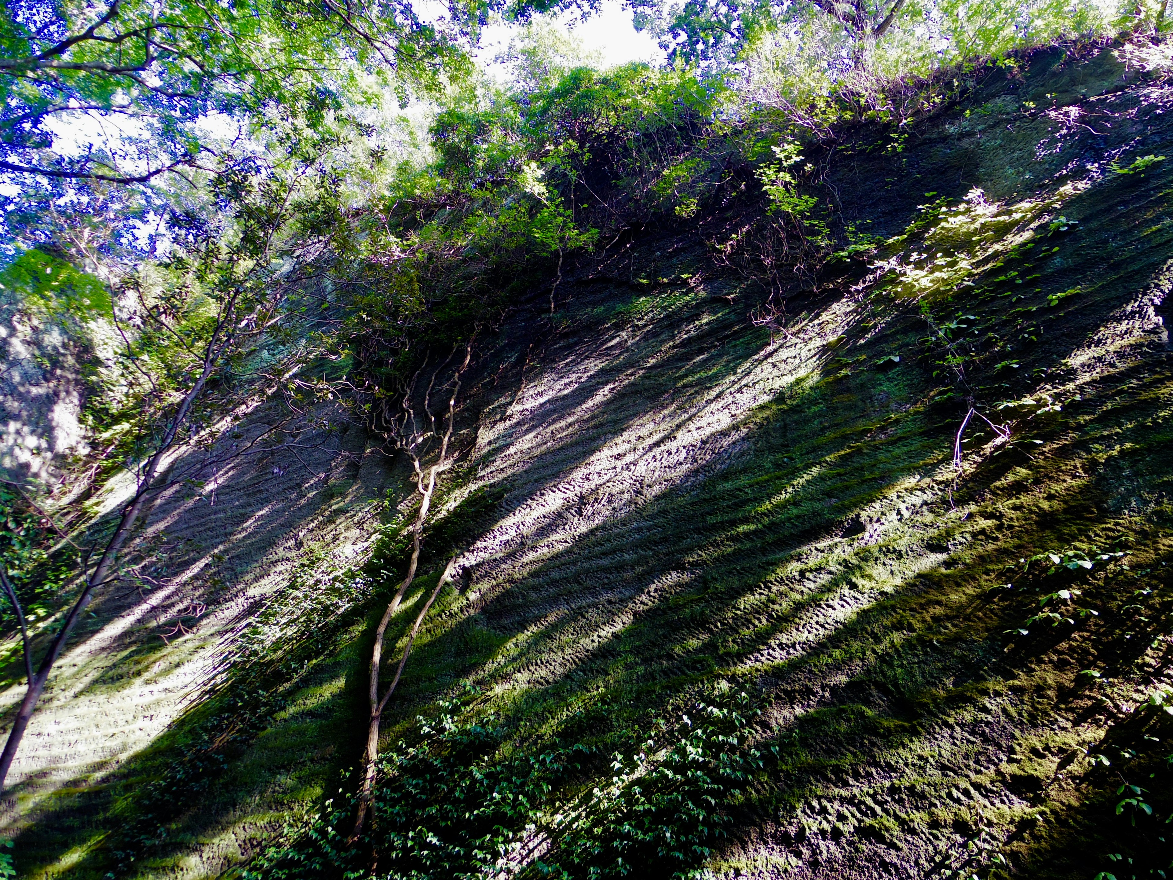 Foto di una scogliera ripida ricoperta di vegetazione lussureggiante e ombre