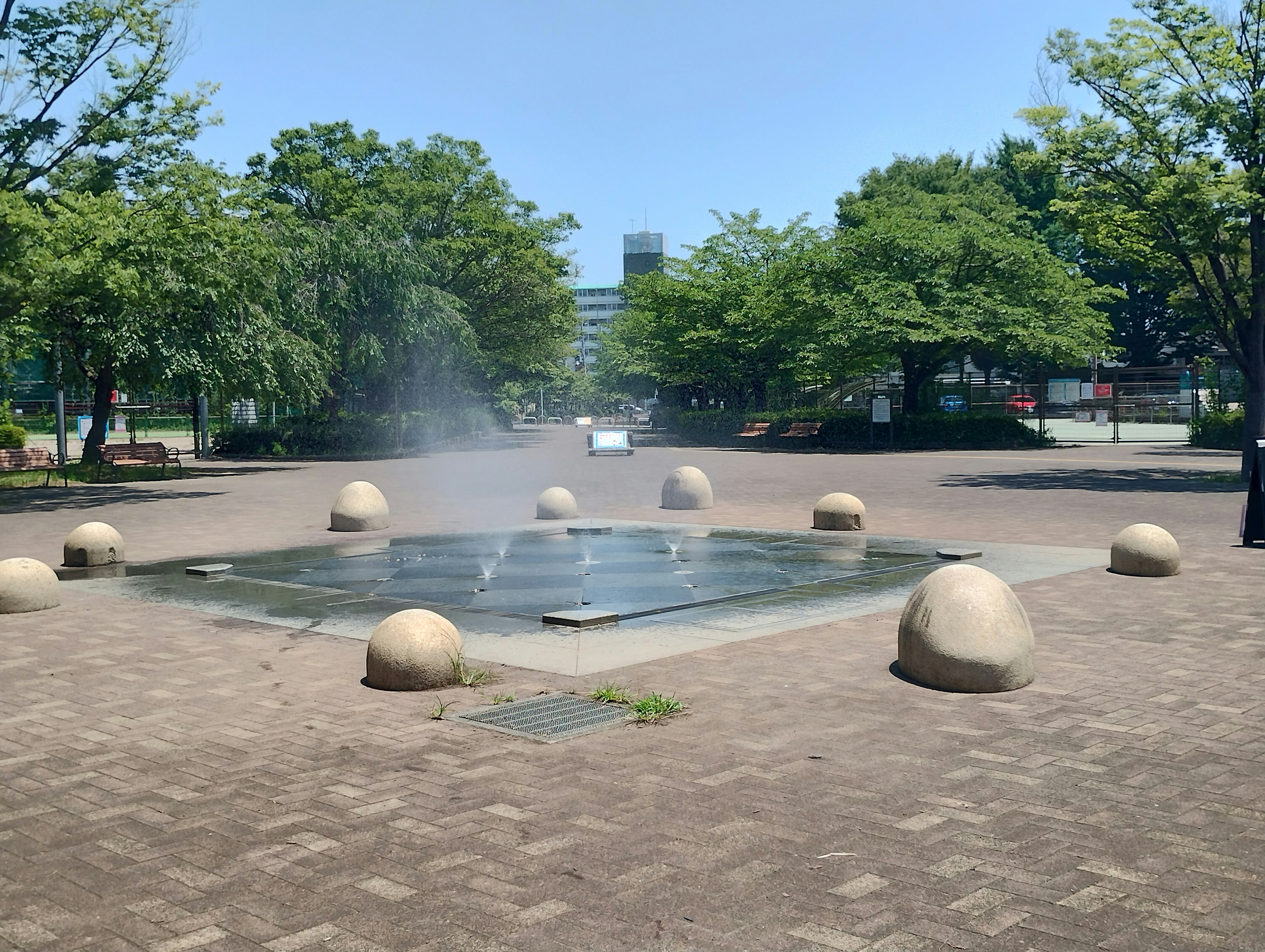 Fontana del parco circondata da alberi verdi