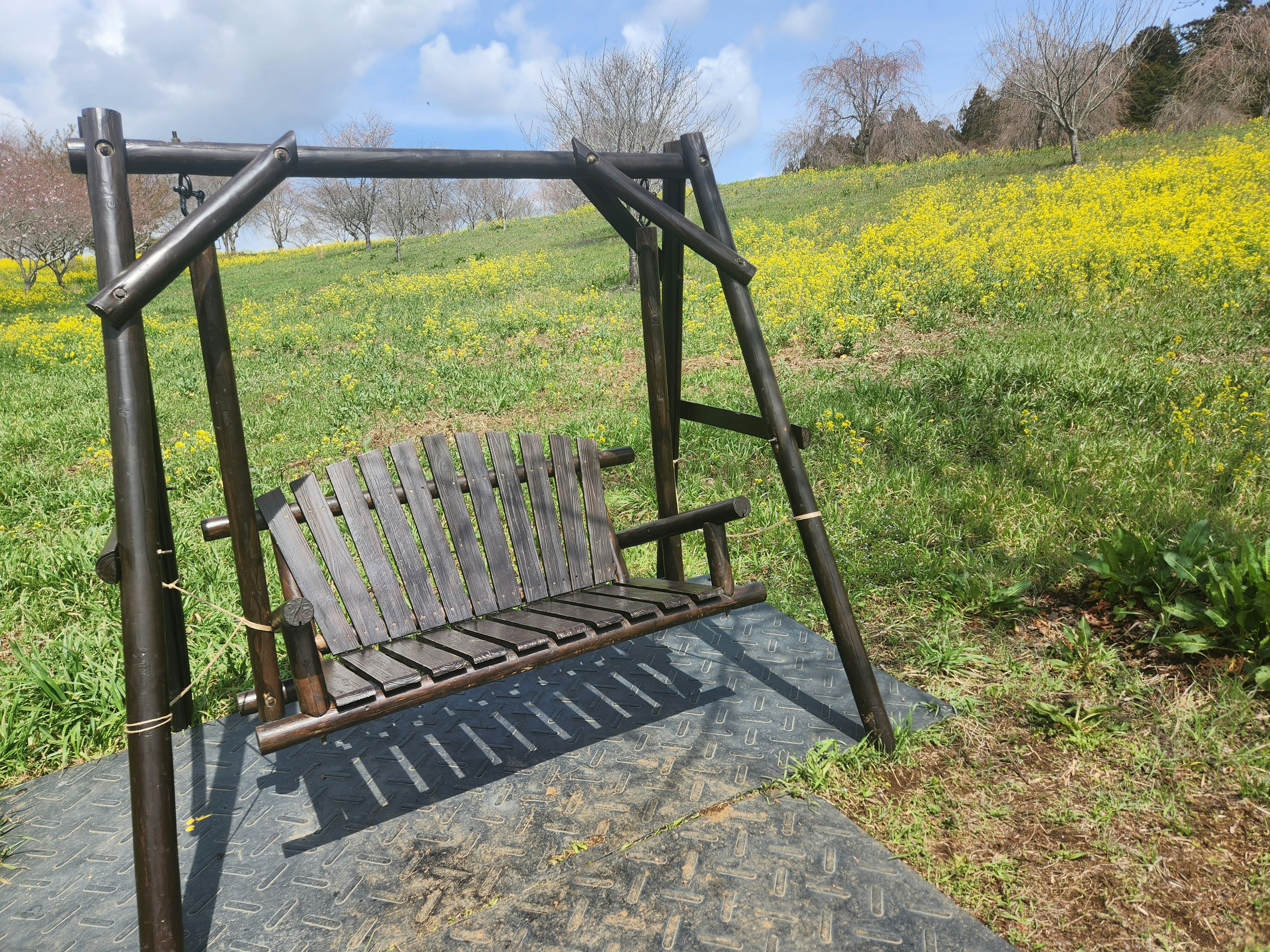 Holzschaukel auf grünem Gras mit einem Feld aus gelben Blumen