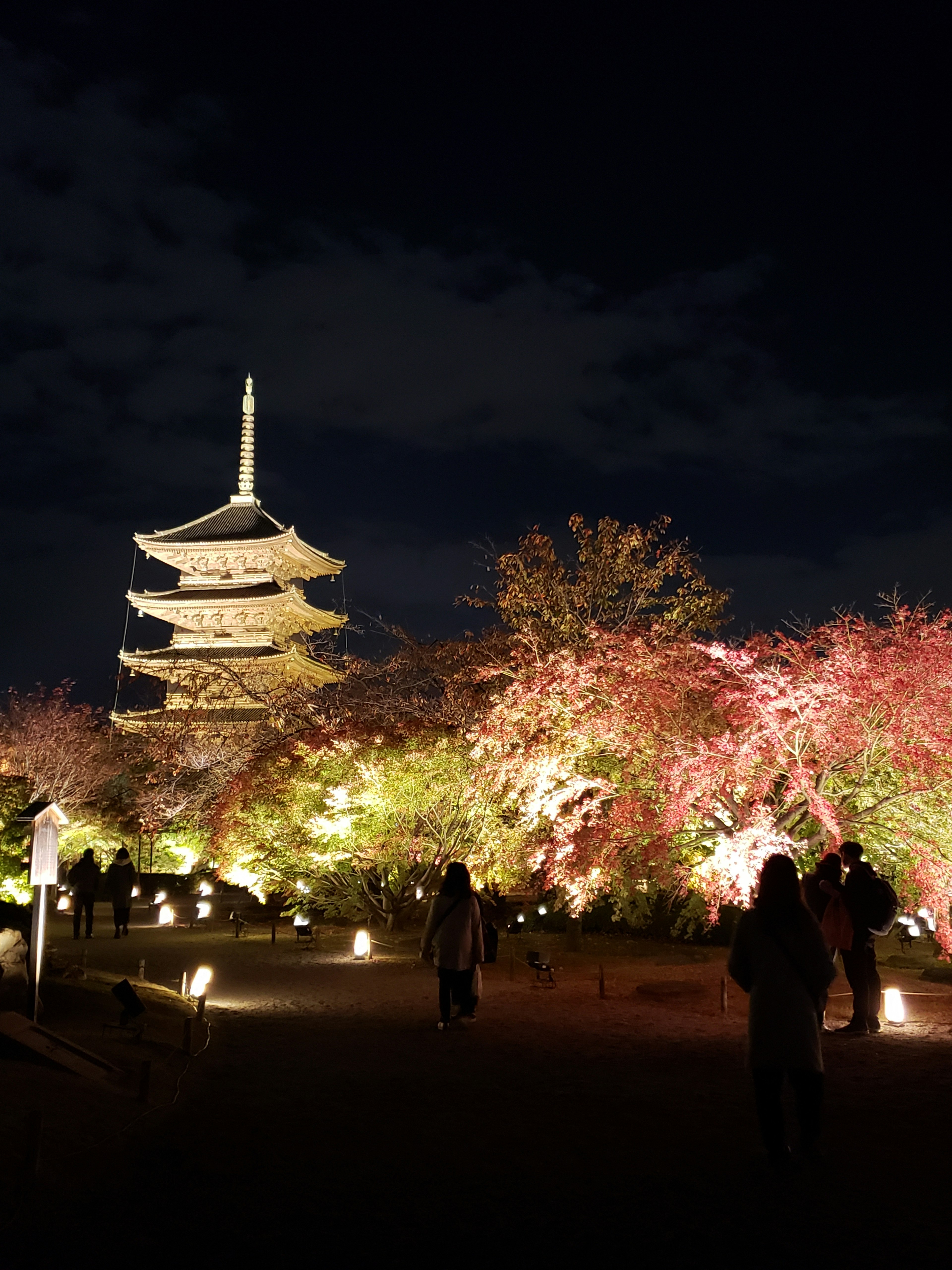 Pagoda iluminada rodeada de follaje de otoño por la noche