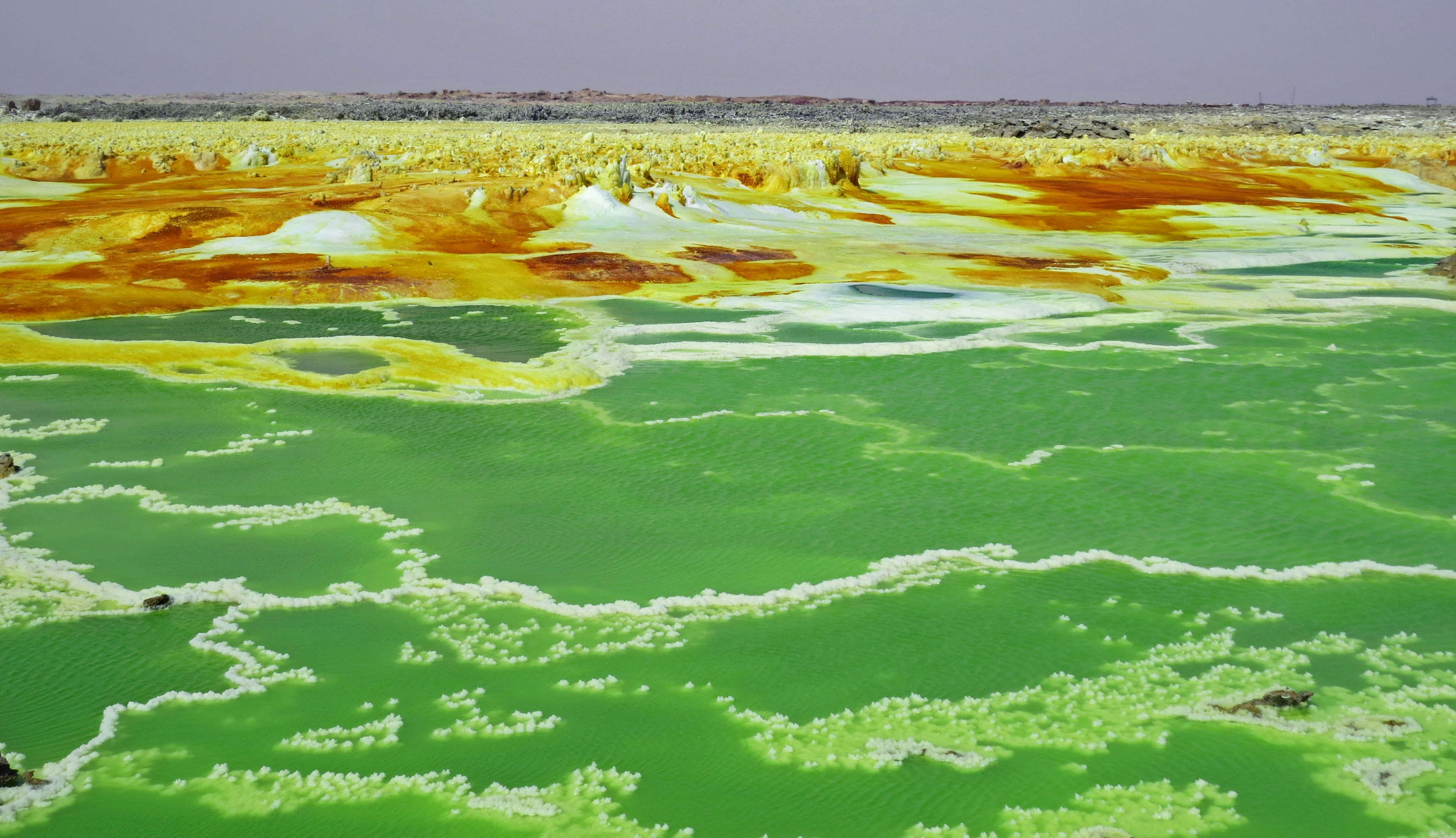 Paesaggio colorato di un lago salato con superficie d'acqua verde