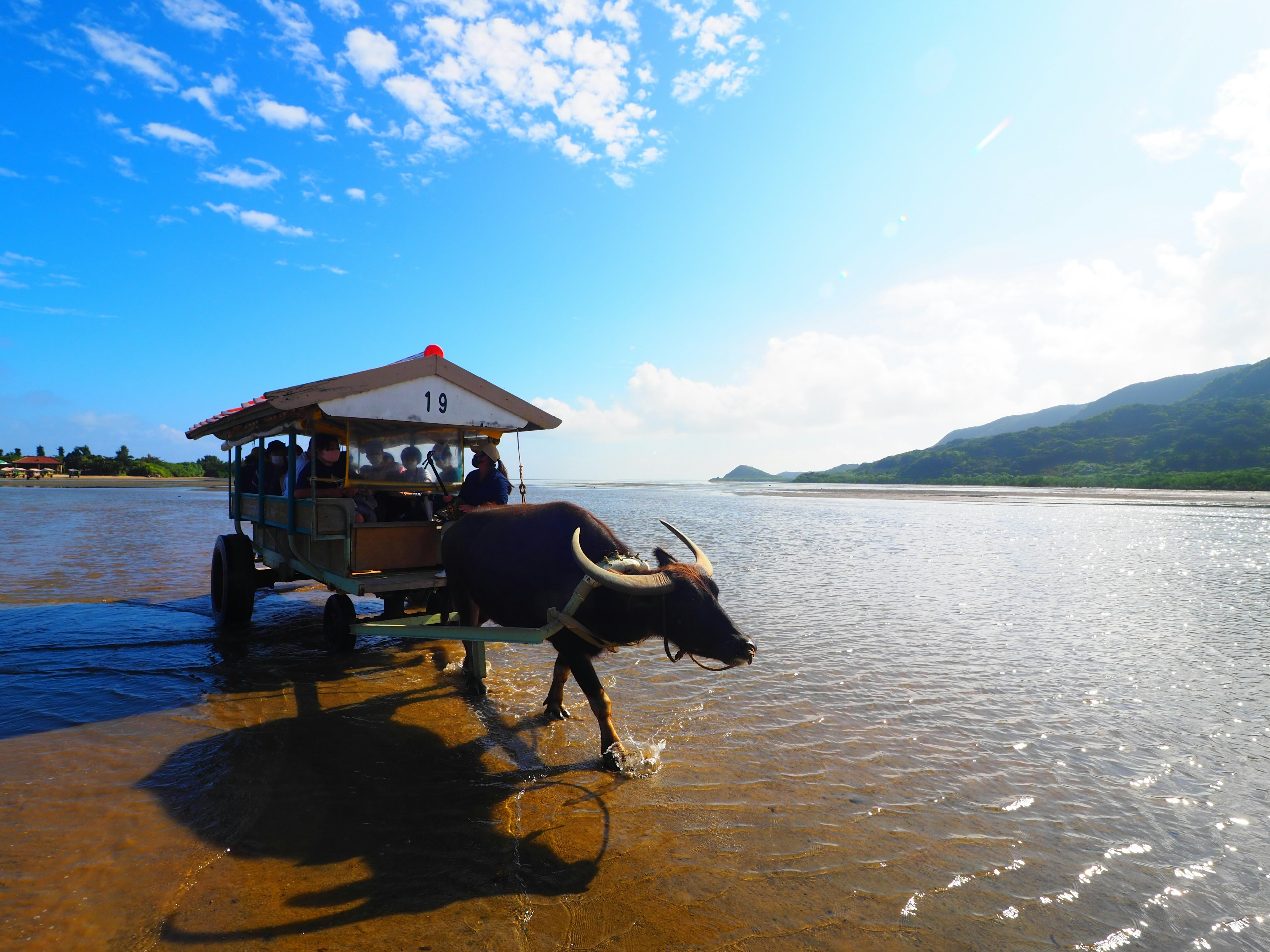 Pemandangan indah dari saluran air dengan kereta yang ditarik oleh sapi dan penumpang di bawah atap jerami