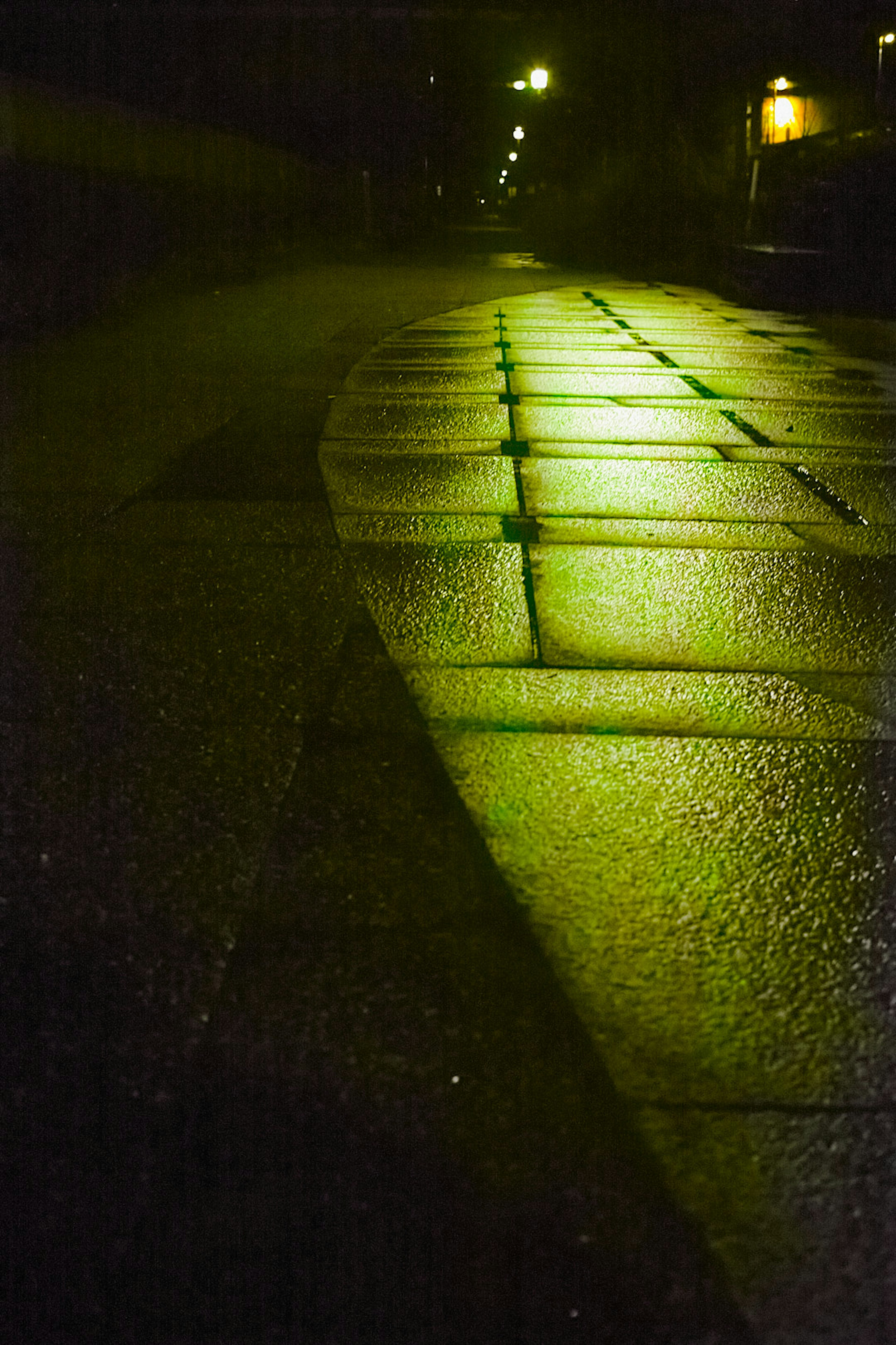 Paved road reflecting green light at night with wet surface