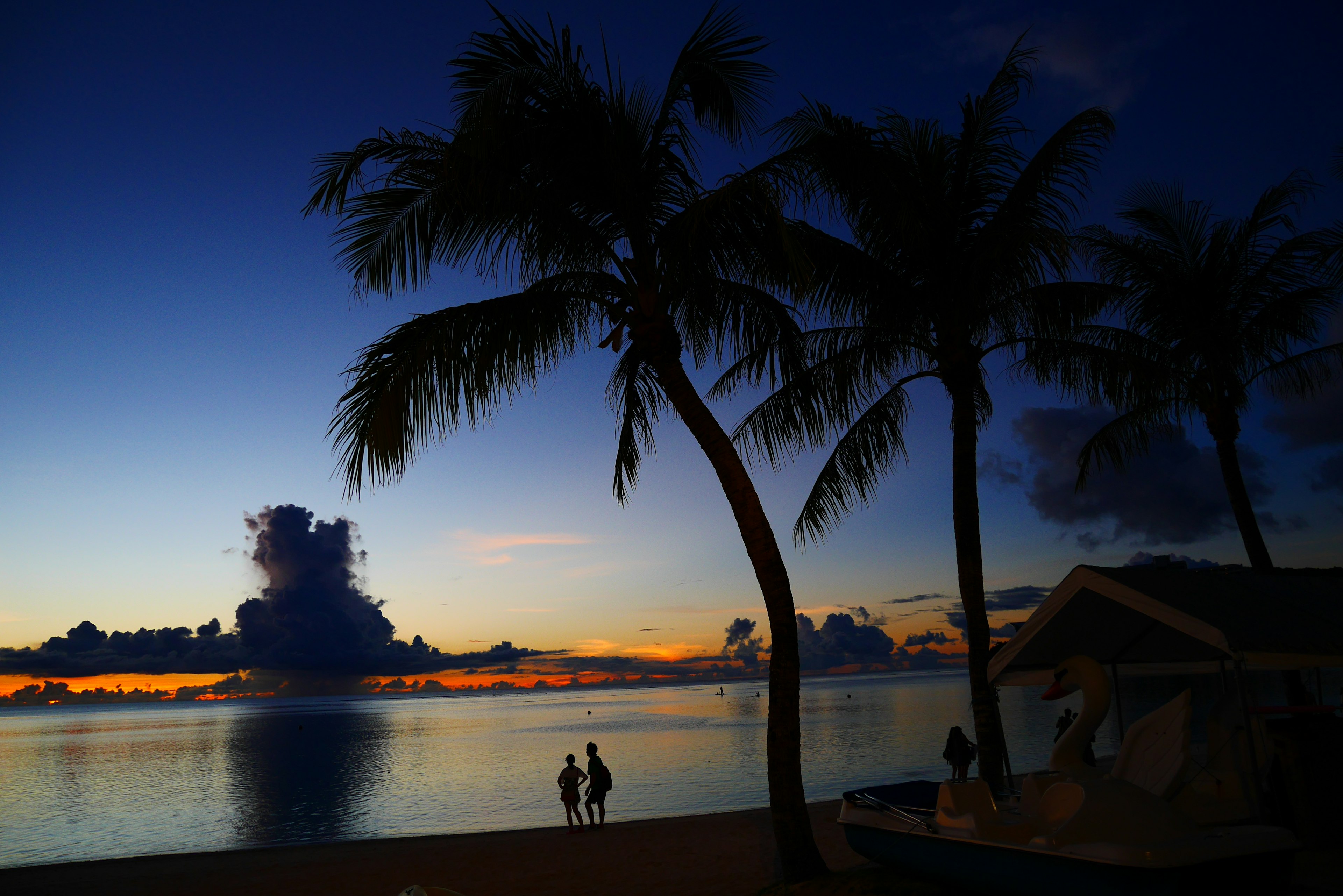 Silhouetted figures by the beach at sunset with palm trees