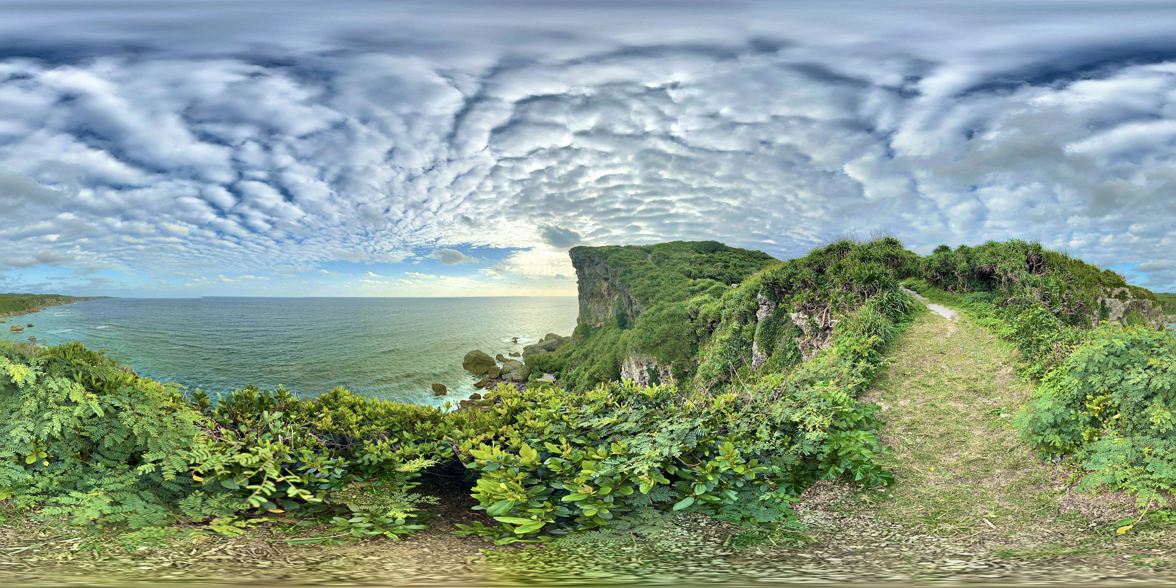 青い空と雲に囲まれた美しい海岸の風景 緑豊かな植物と小道が海に続いている