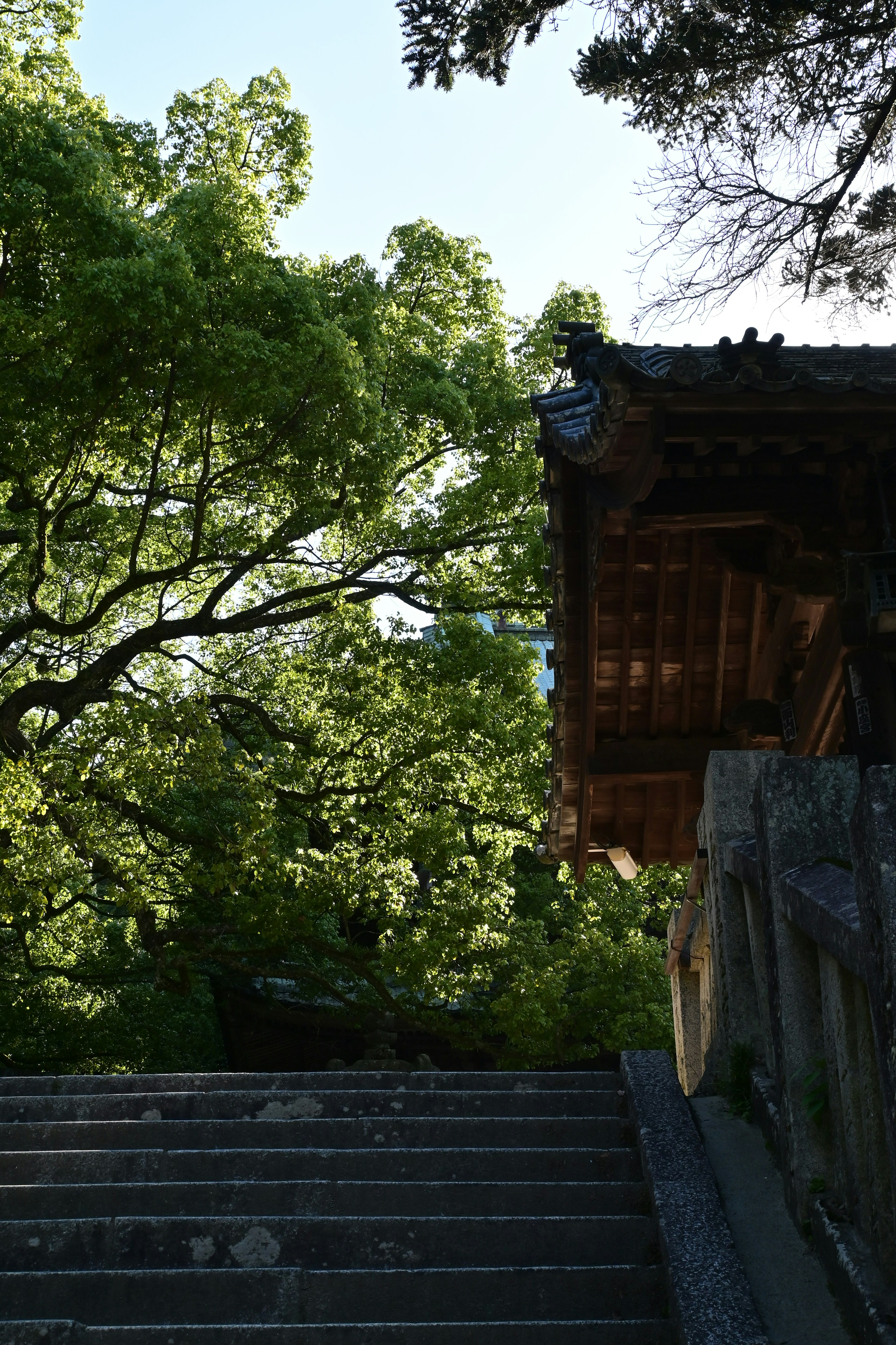 Partie d'un temple avec des escaliers et des arbres verts