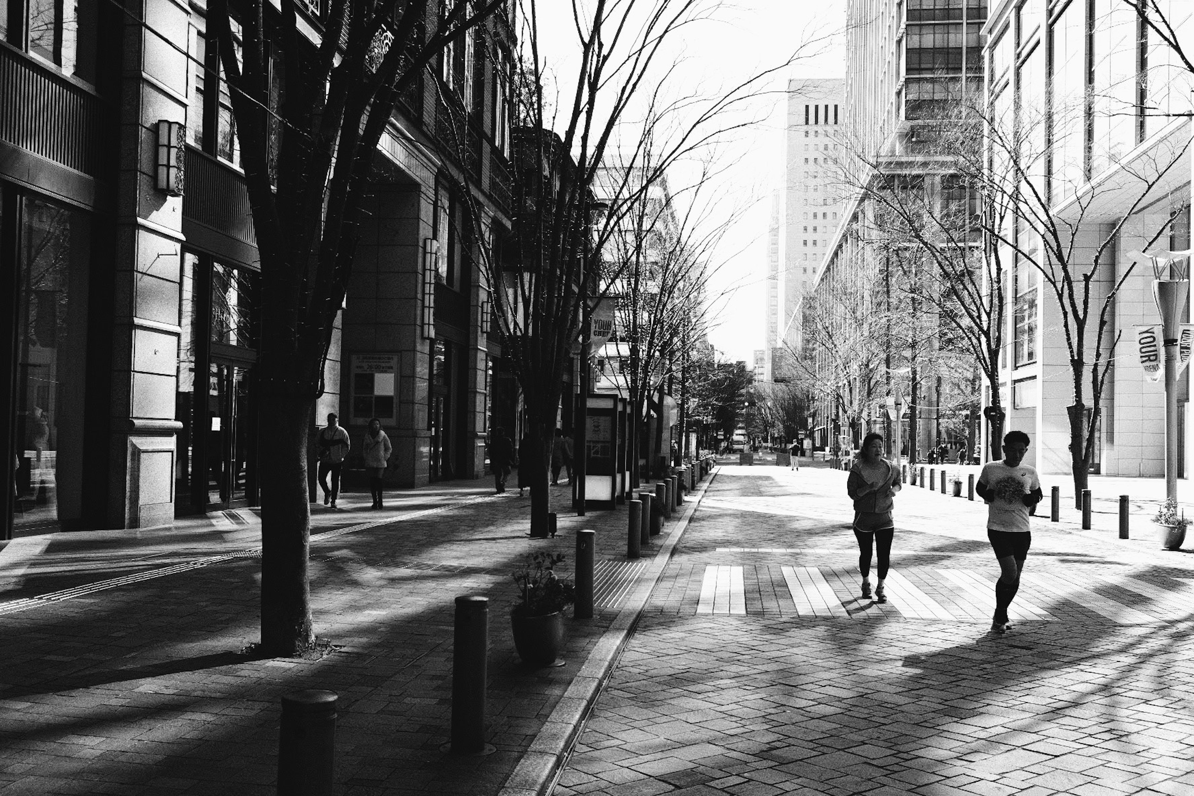 Scène urbaine en noir et blanc avec des arbres et des immeubles de grande hauteur, deux personnes faisant du jogging dans la rue