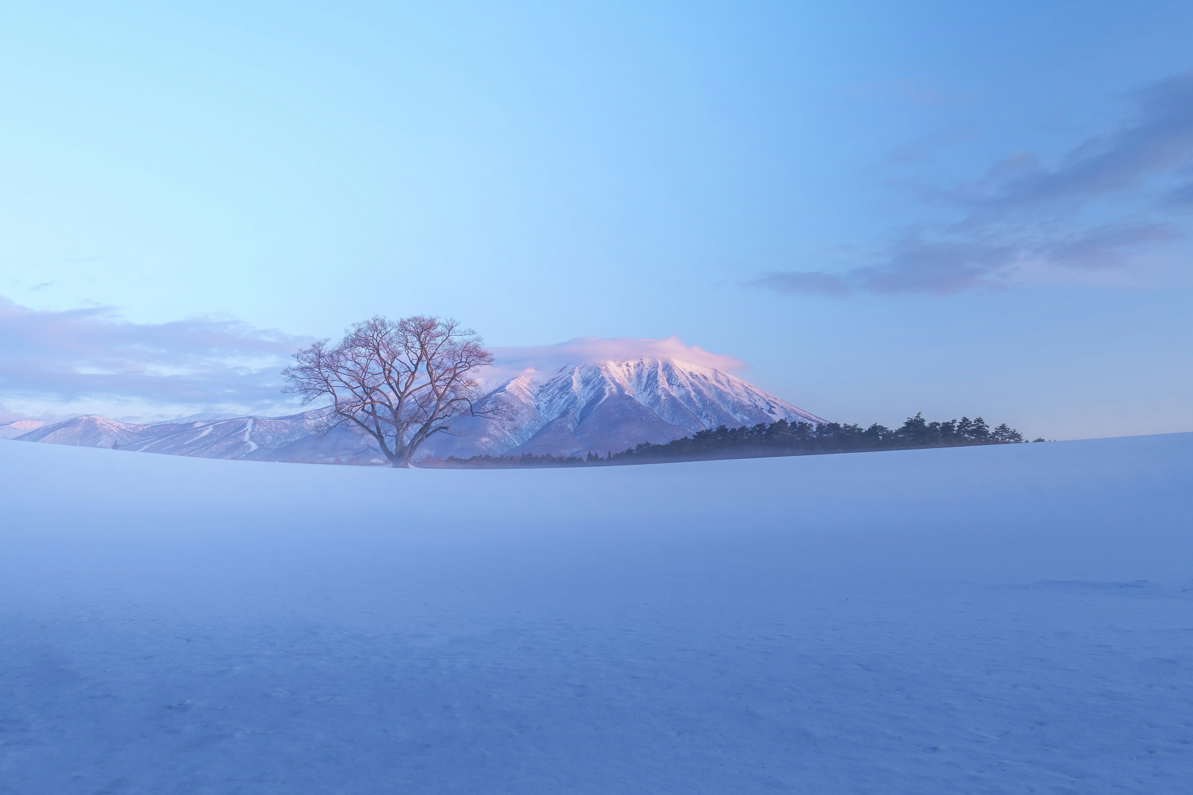 Ein einsamer Baum in einer verschneiten Landschaft mit Bergen im Hintergrund